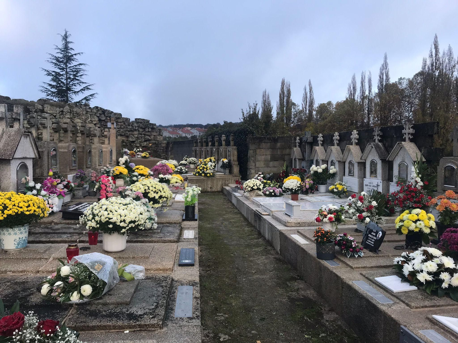 Cementerio de Allariz, a primera hora de este lunes. // P.P.
