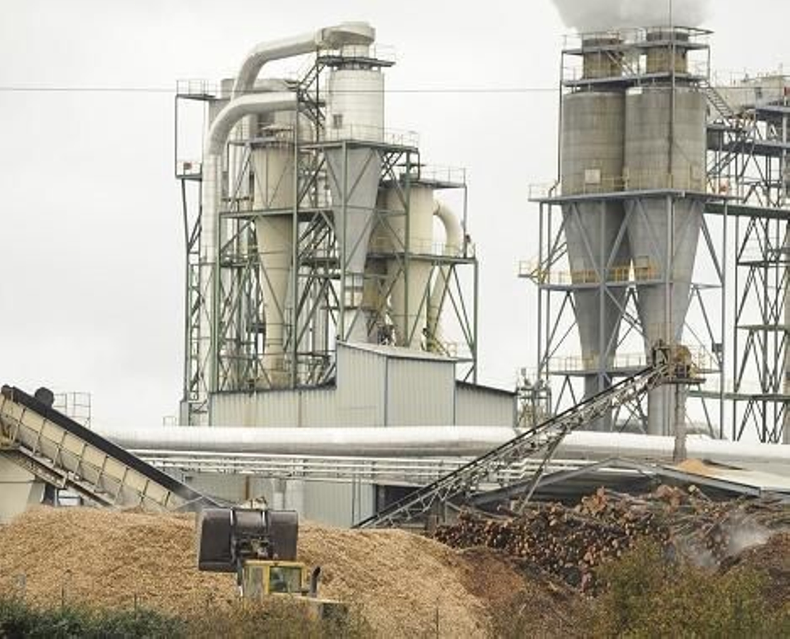 En la industria se perdieron 81 empleos el mes pasado.