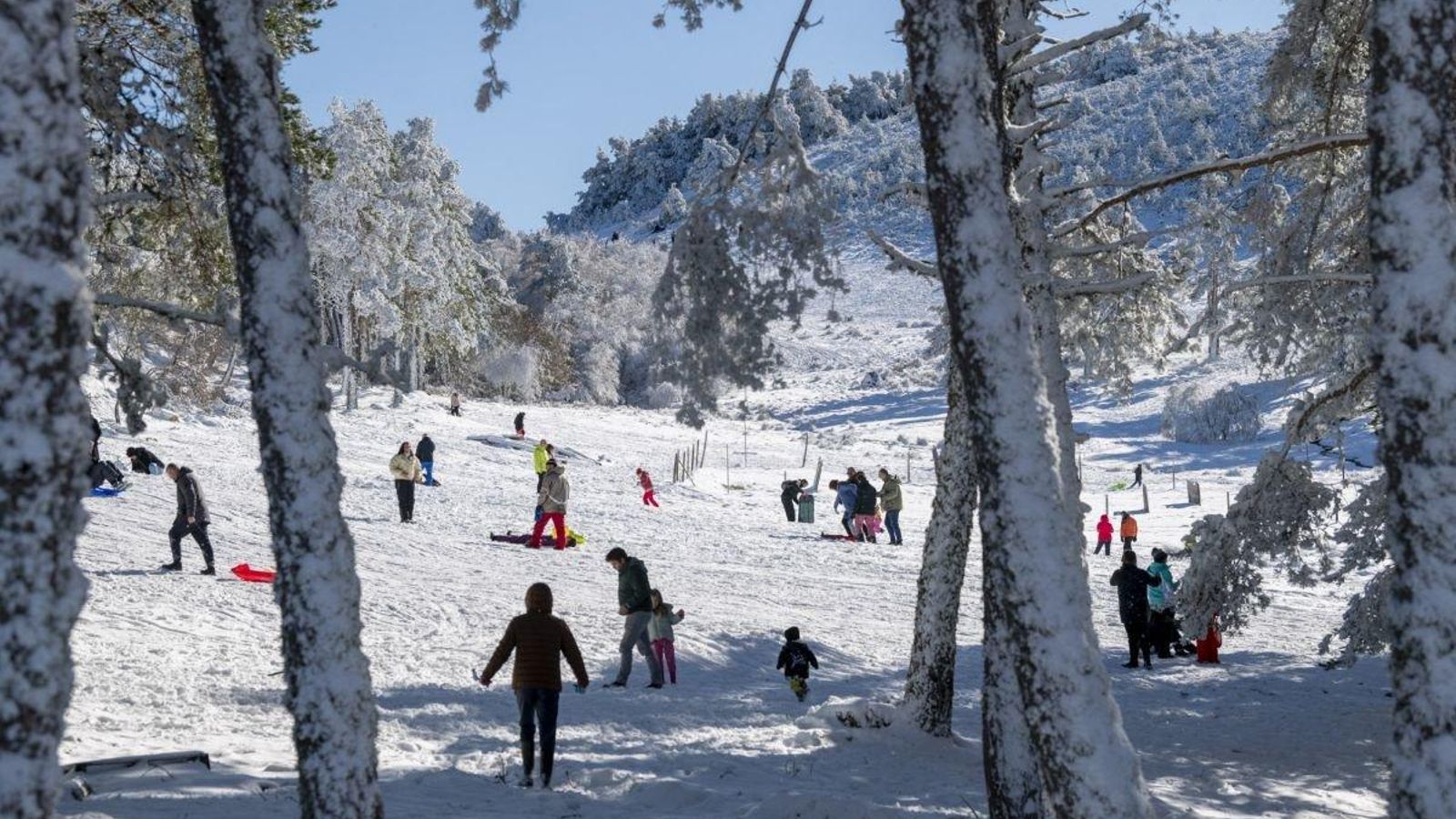 Los trineos también fueron protagonistas este domingo