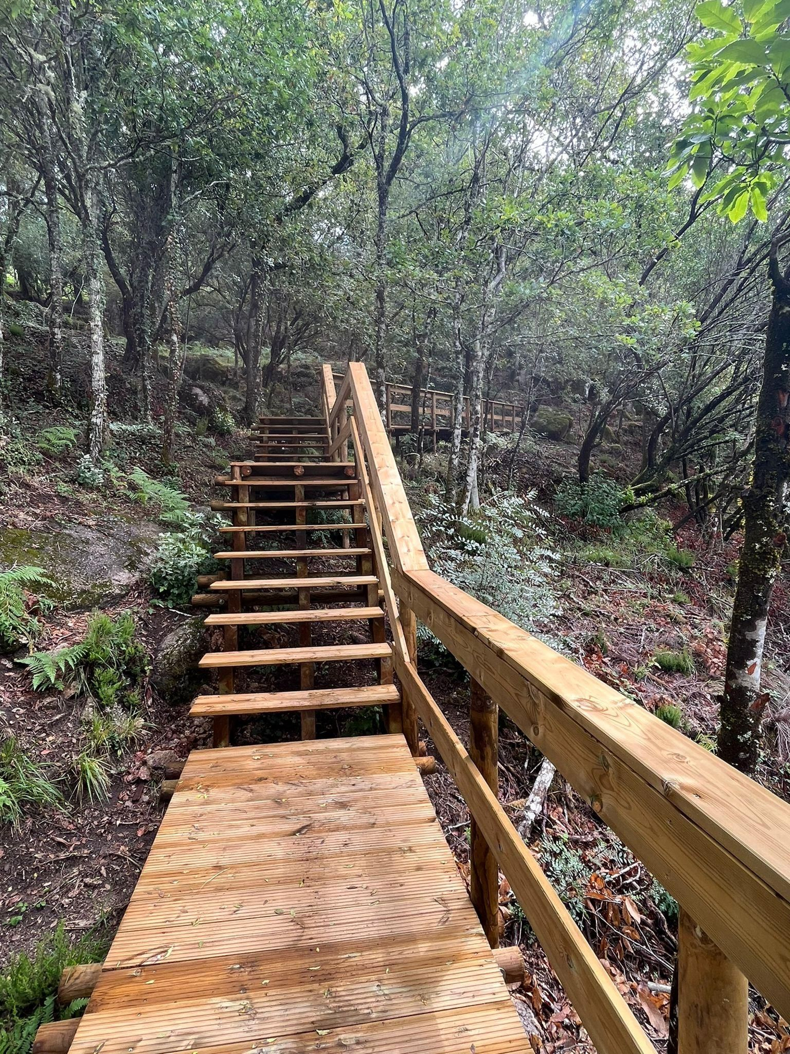 Un ruta hasta el Pozo da Seima, en Lobios