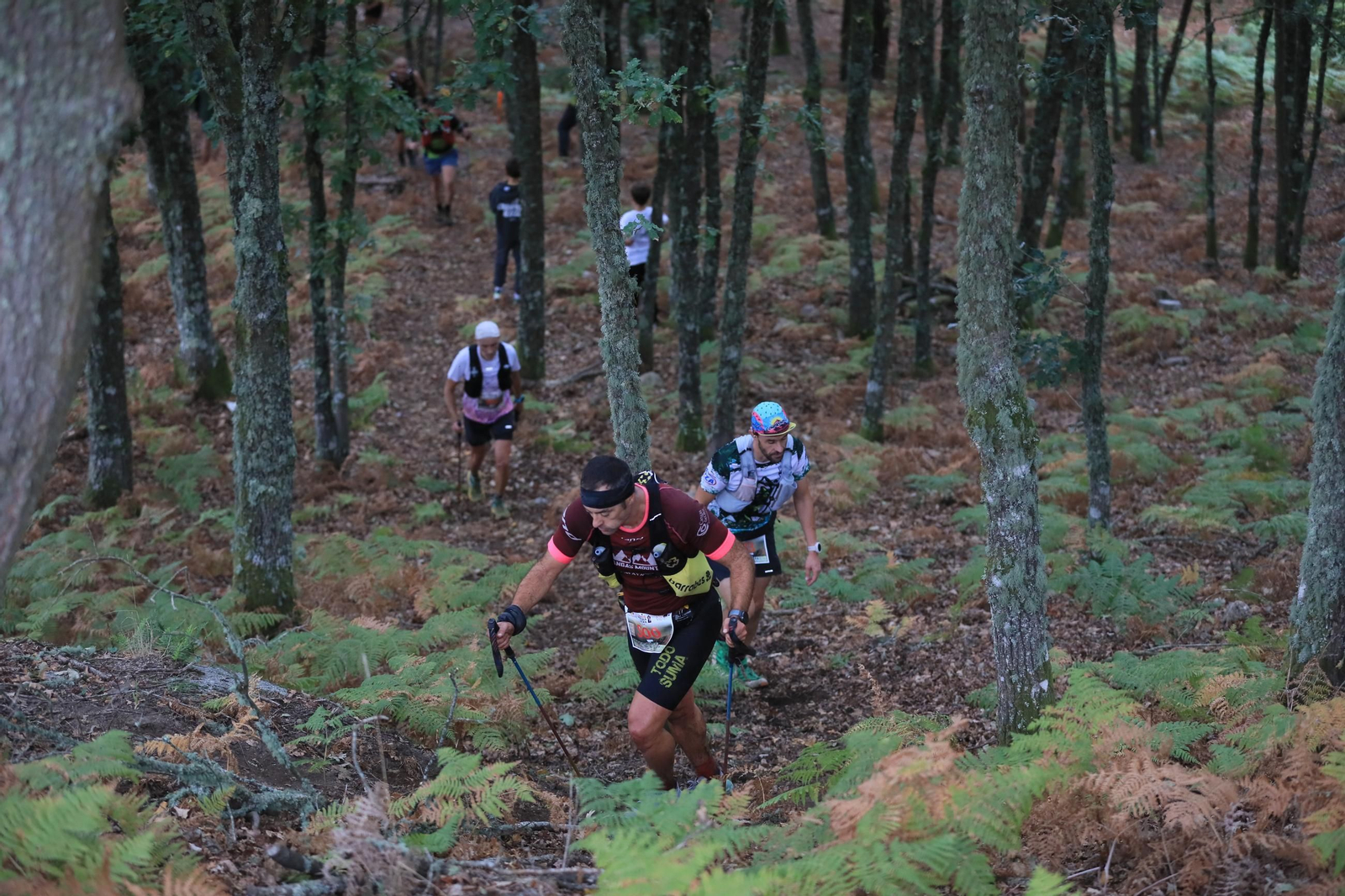Galería | El Trail Ribeira Sacra cumple diez años y lo celebra entre montes y miradores, en fotos