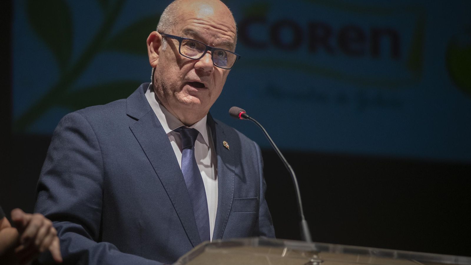 Galería | Reconocimientos por los incendios y los mejores relatos, protagonistas del Día de la Constitución en Ourense