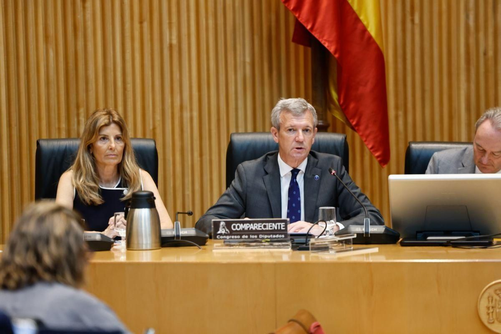 El presidente de la Xunta, Alfonso Rueda, durante su intervención en la Comisión Mixta de la UE.