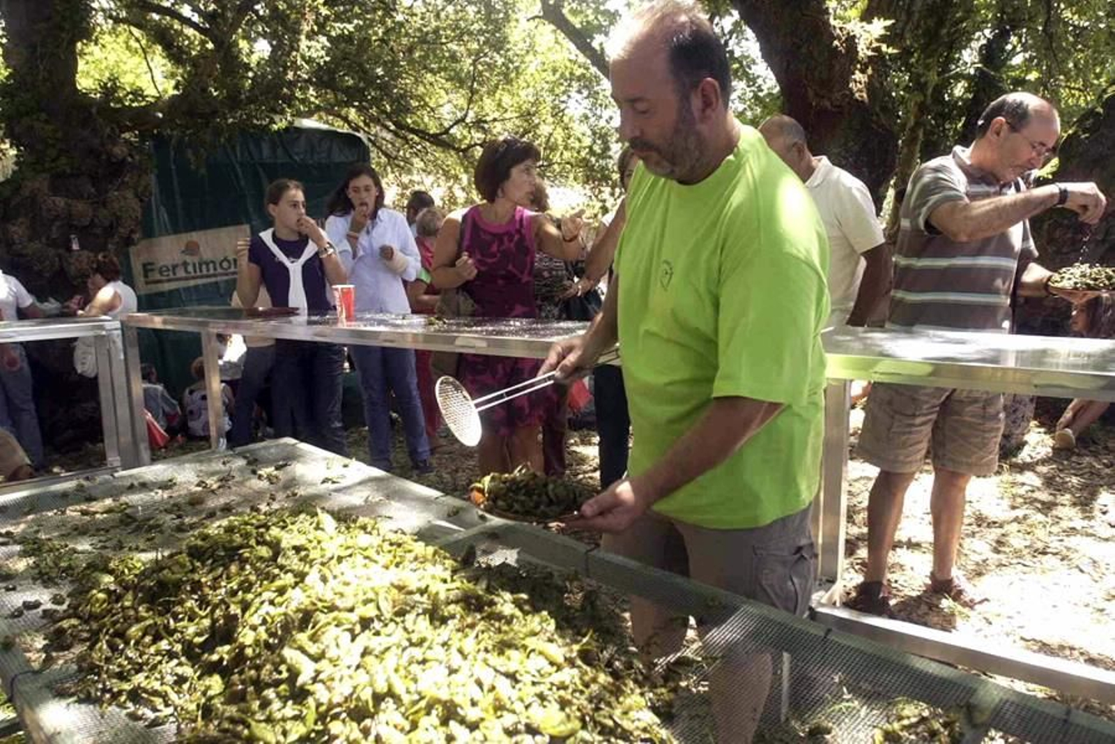 Festa do Pemento de Herbón