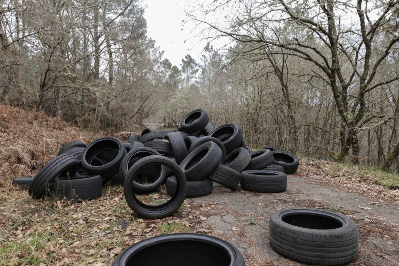 Pila de neumáticos fuera de uso localizados en un antiguo trazado de la OU-404 en Sabuz, Cartelle.
