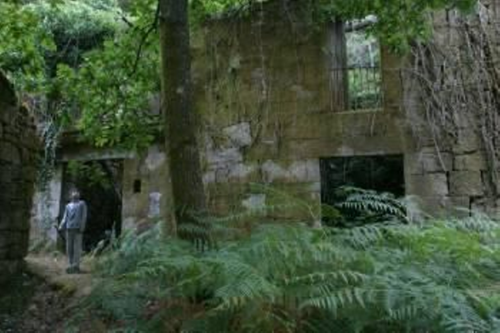 Imagen de la aldea de A Barca, en un estado muy deteriorado. Está abandonada desde hace años y busca un inversor que la rehabilite. (Foto: J. PAZ)