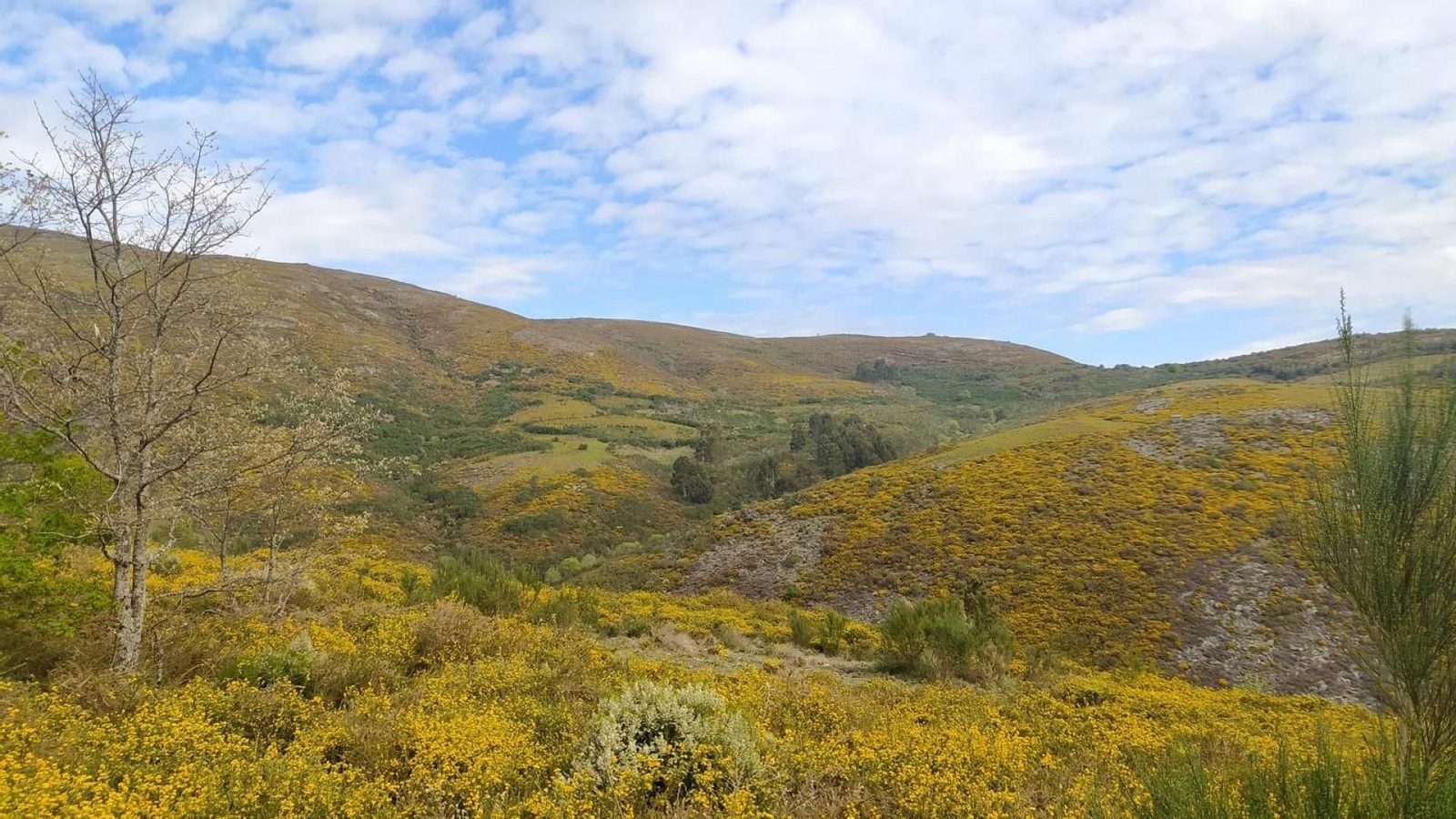 Serra do Leboeiro (Lobeira)