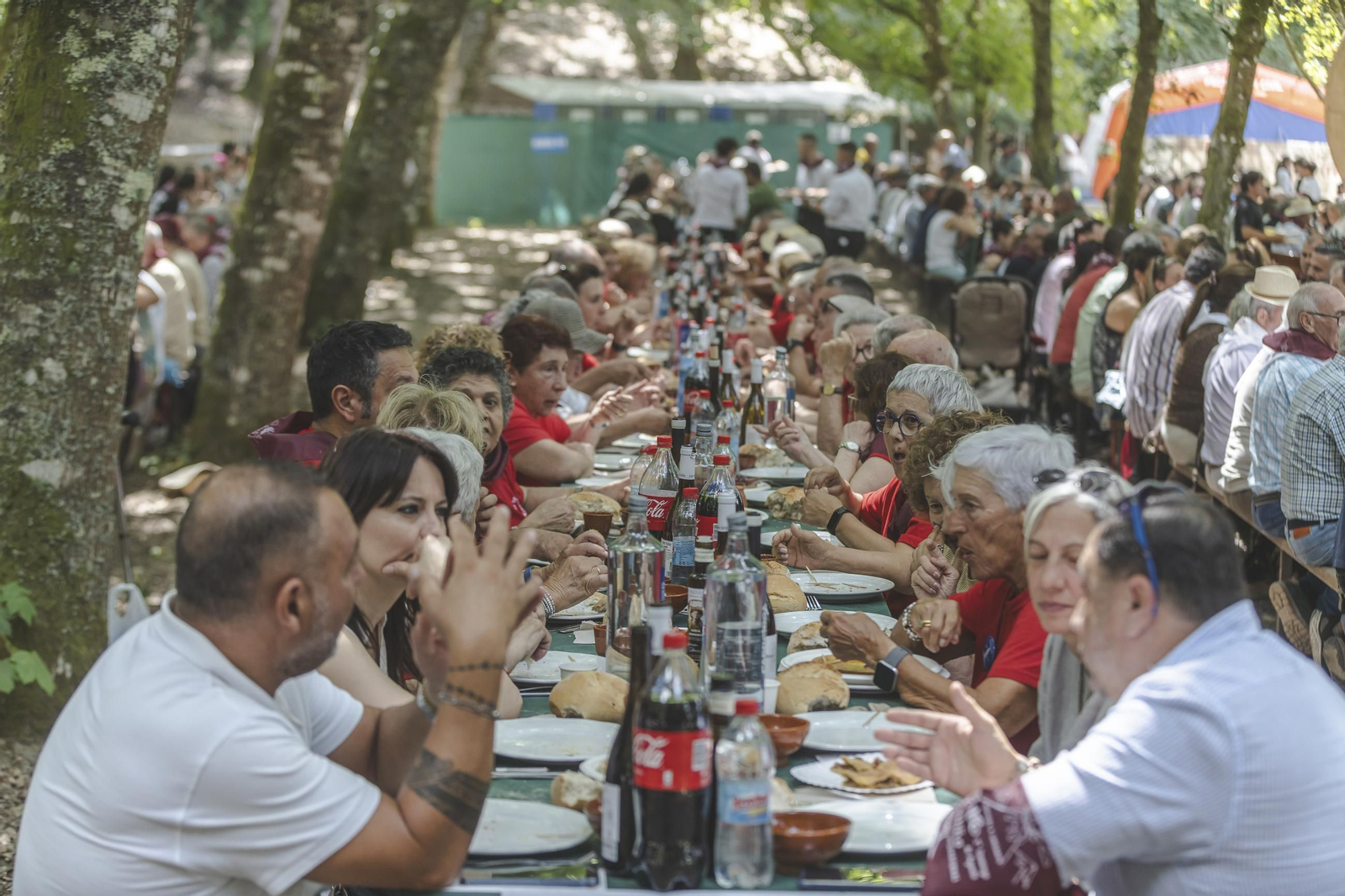 Galería | O Carballiño vuelve a disfrutar un año más de la Festa do Pulpo