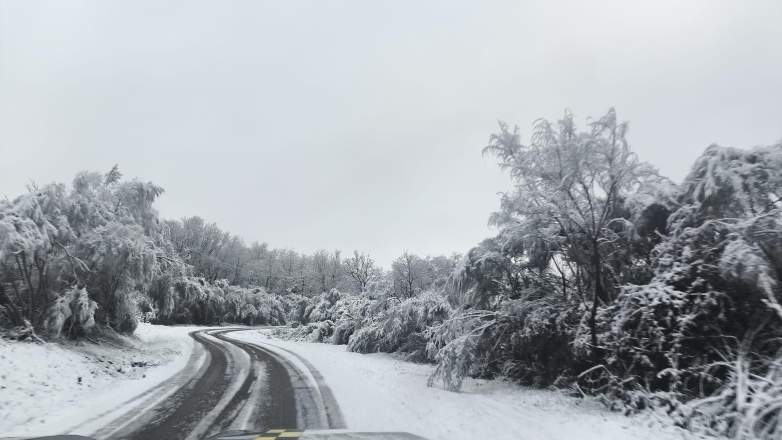 Galería | La nieve da la bienvenida al invierno en A Cañiza