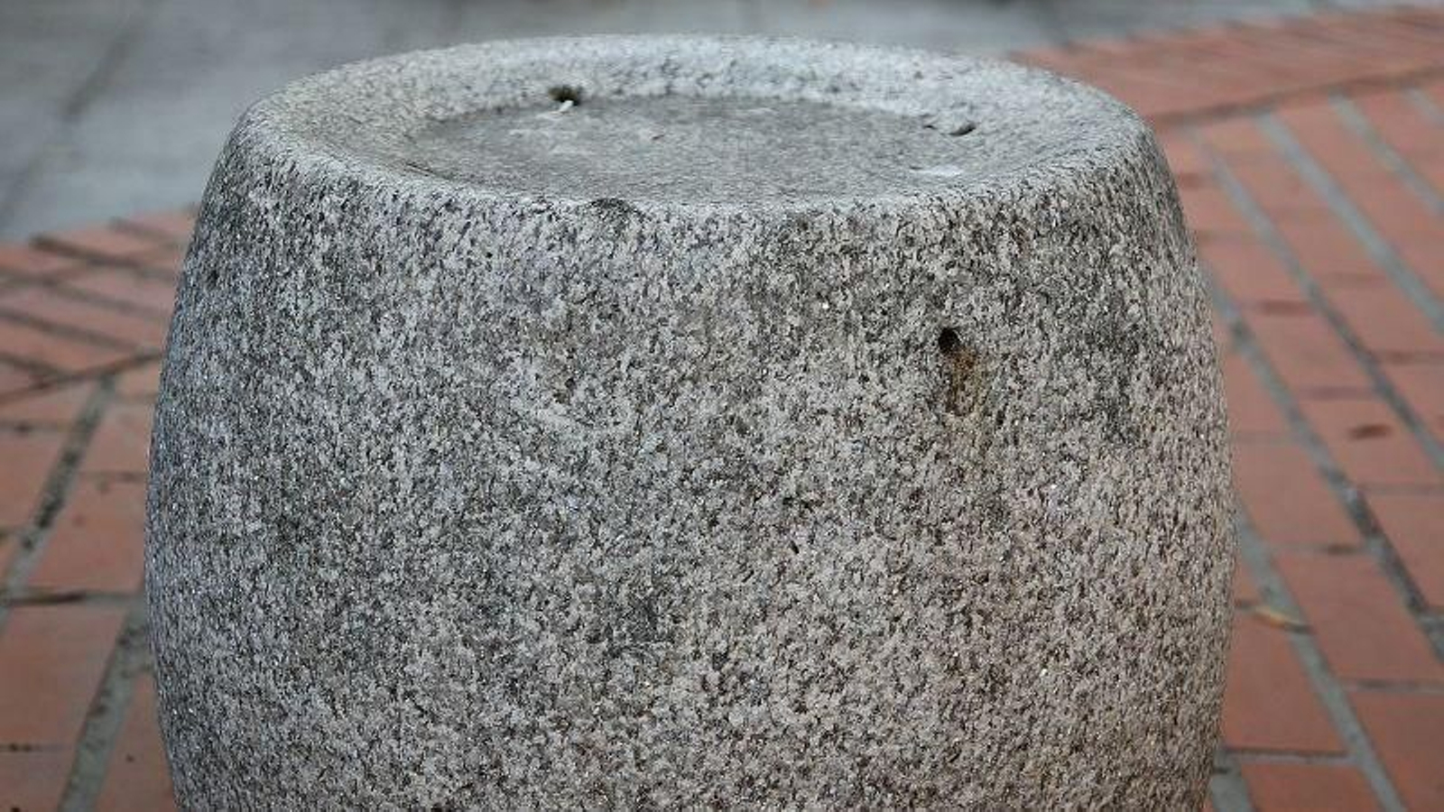 Los cubiletes del jardín japonés.