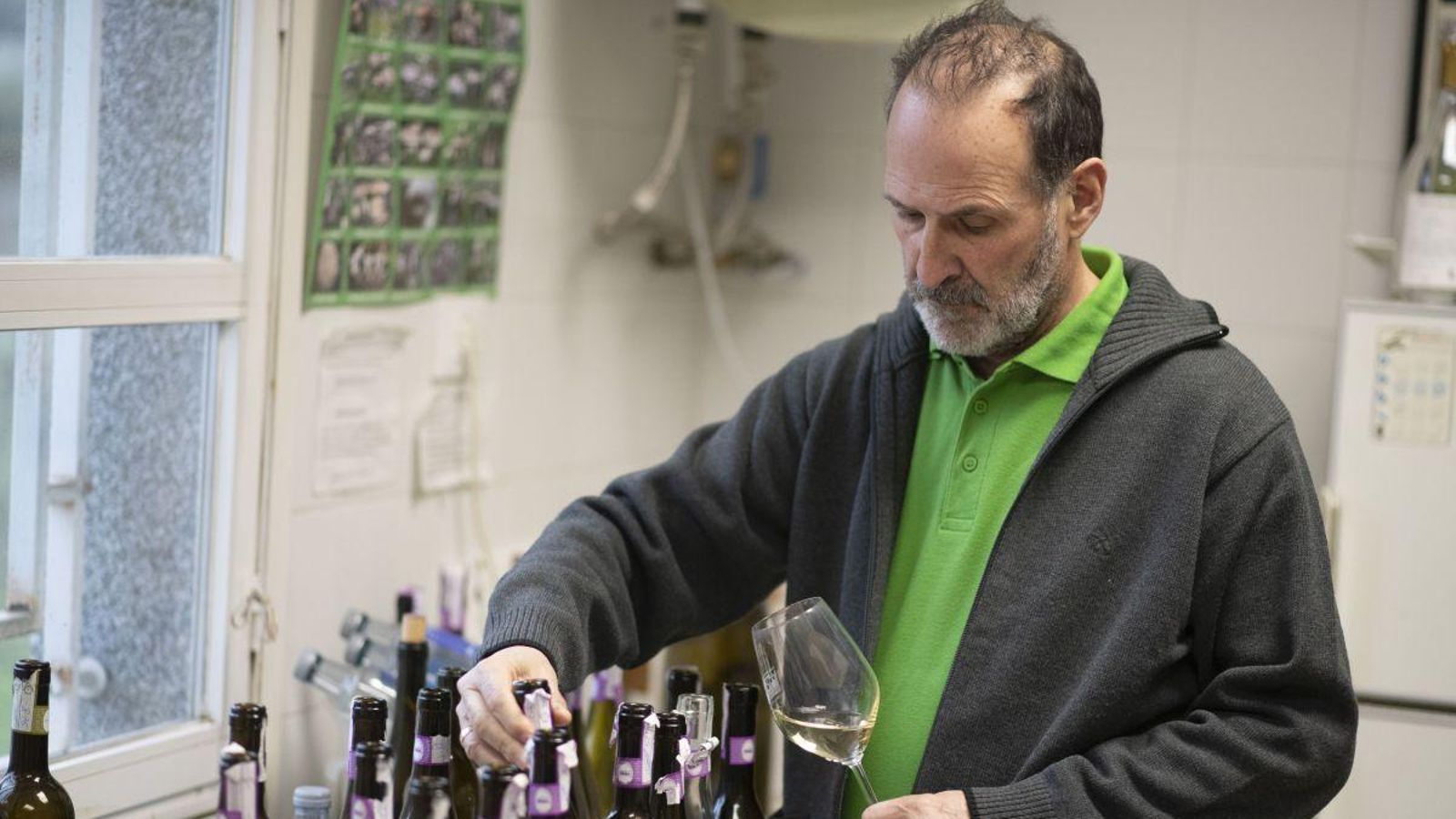 Jorge Mazaira, director técnico de la DO Valdeorras.