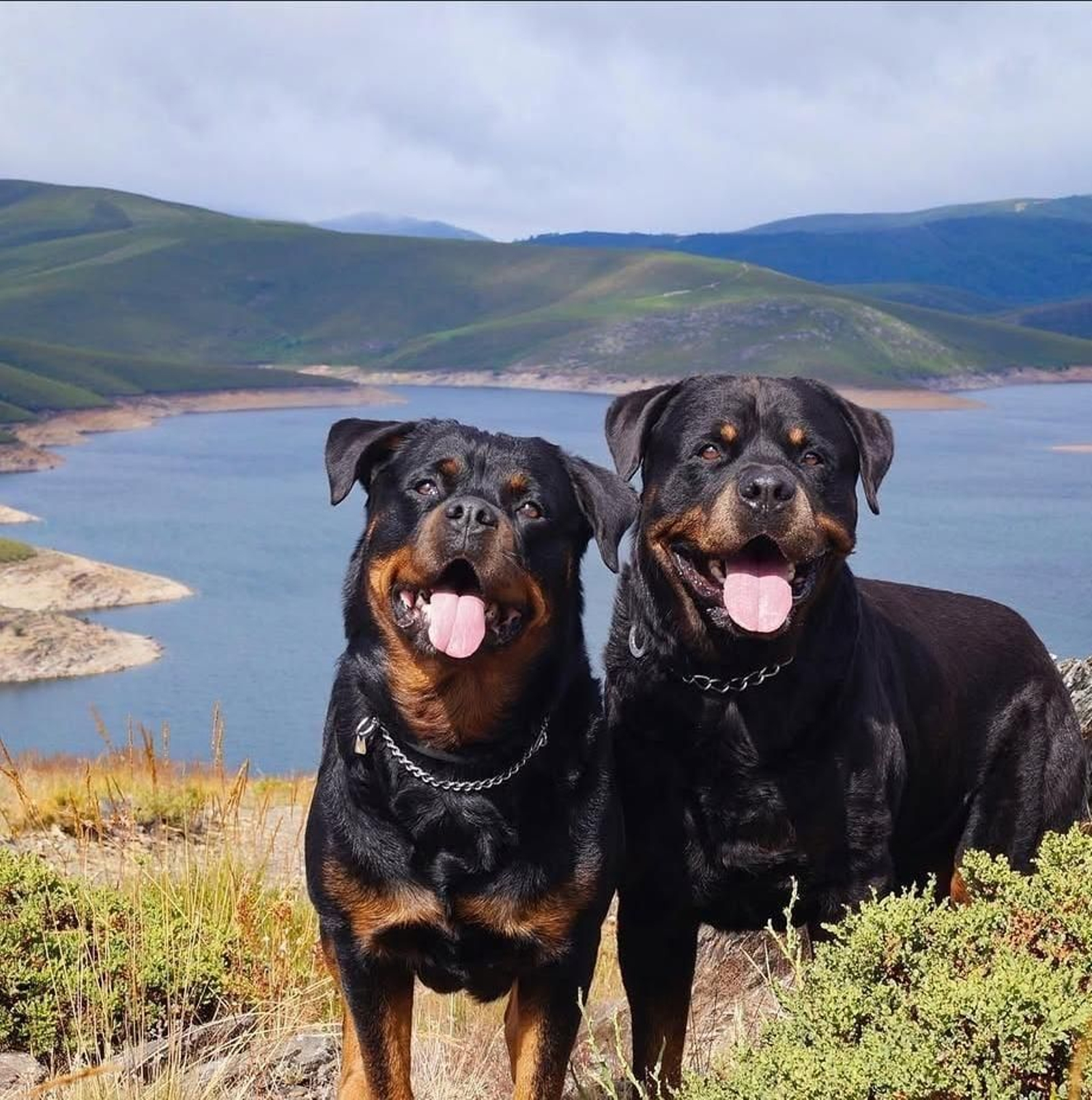 Tulo y buca