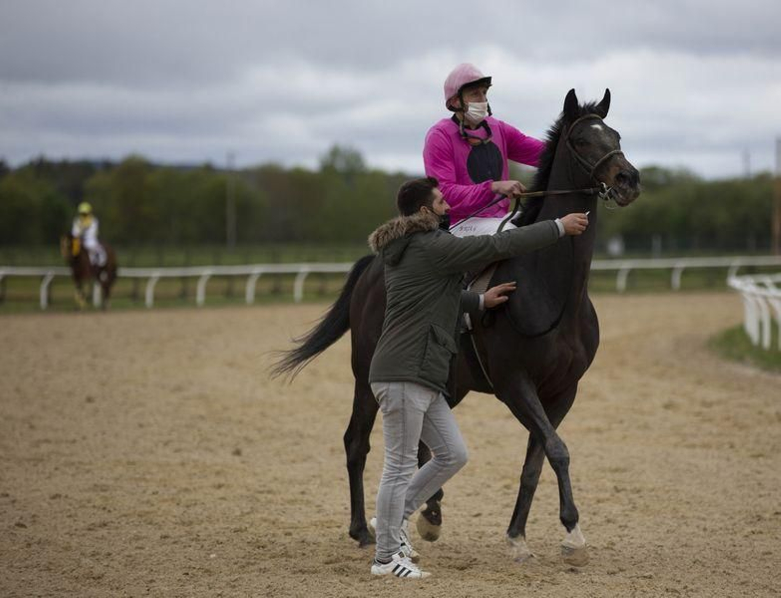 El hipódromo de Antela acogió la Copa Deputación de Hípica en modalidad de velocidad y trote en el hipódromo de Antela (Fotos: Xesús Fariñas)