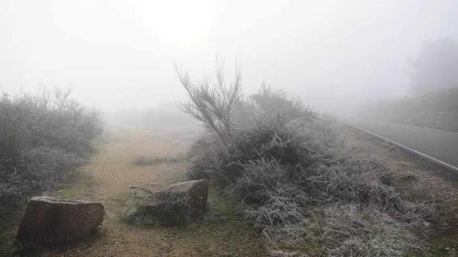 Las heladas, protagonistas de mañana sábado.