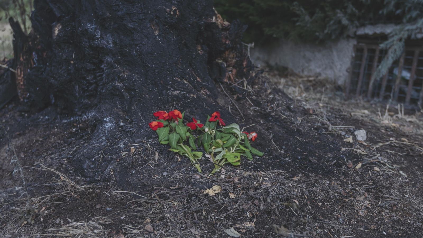 Flores en el punto del accidente.