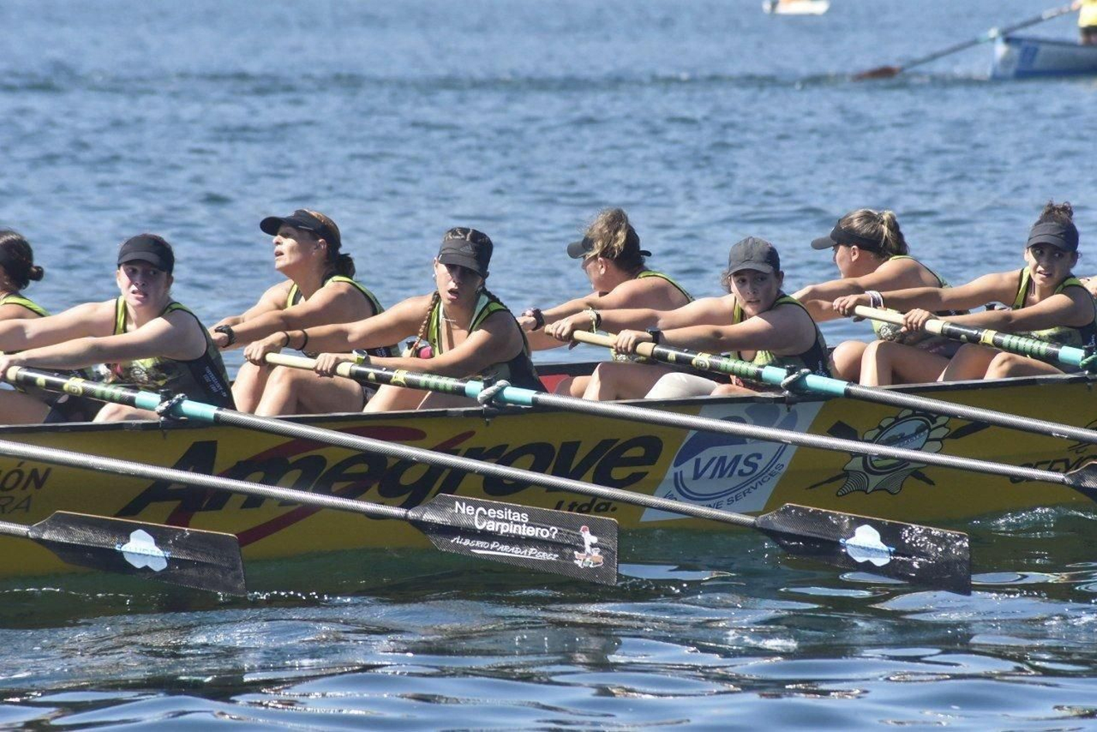 Traiñeiras en Redondela.