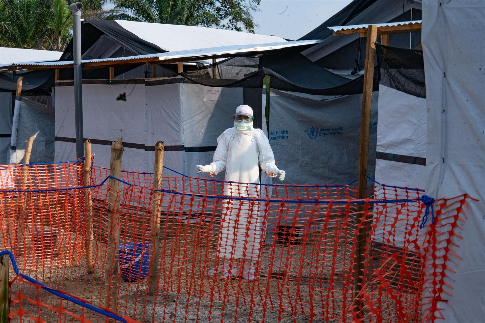 La OMS declara la emergencia internacional por un brote de ébola en RDC y Uganda