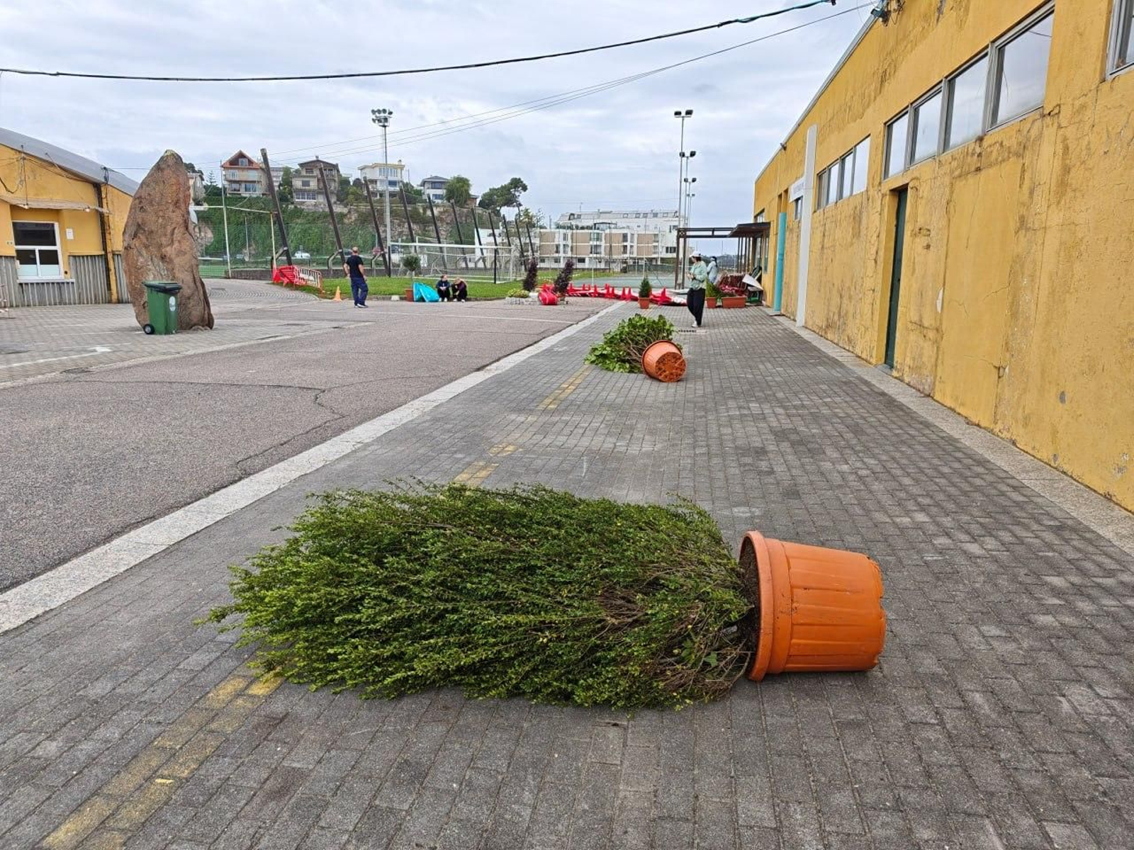 Galería | Árboles y mobiliario urbano sufren el primer temporal del otoño en Vigo