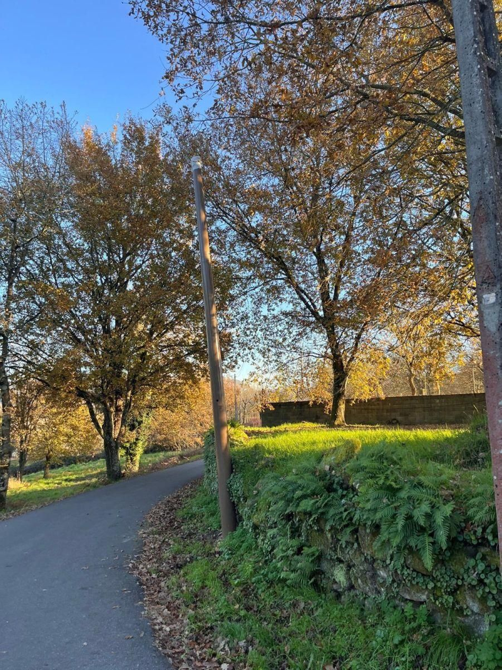 Peligroso hueco de un poste en Coles