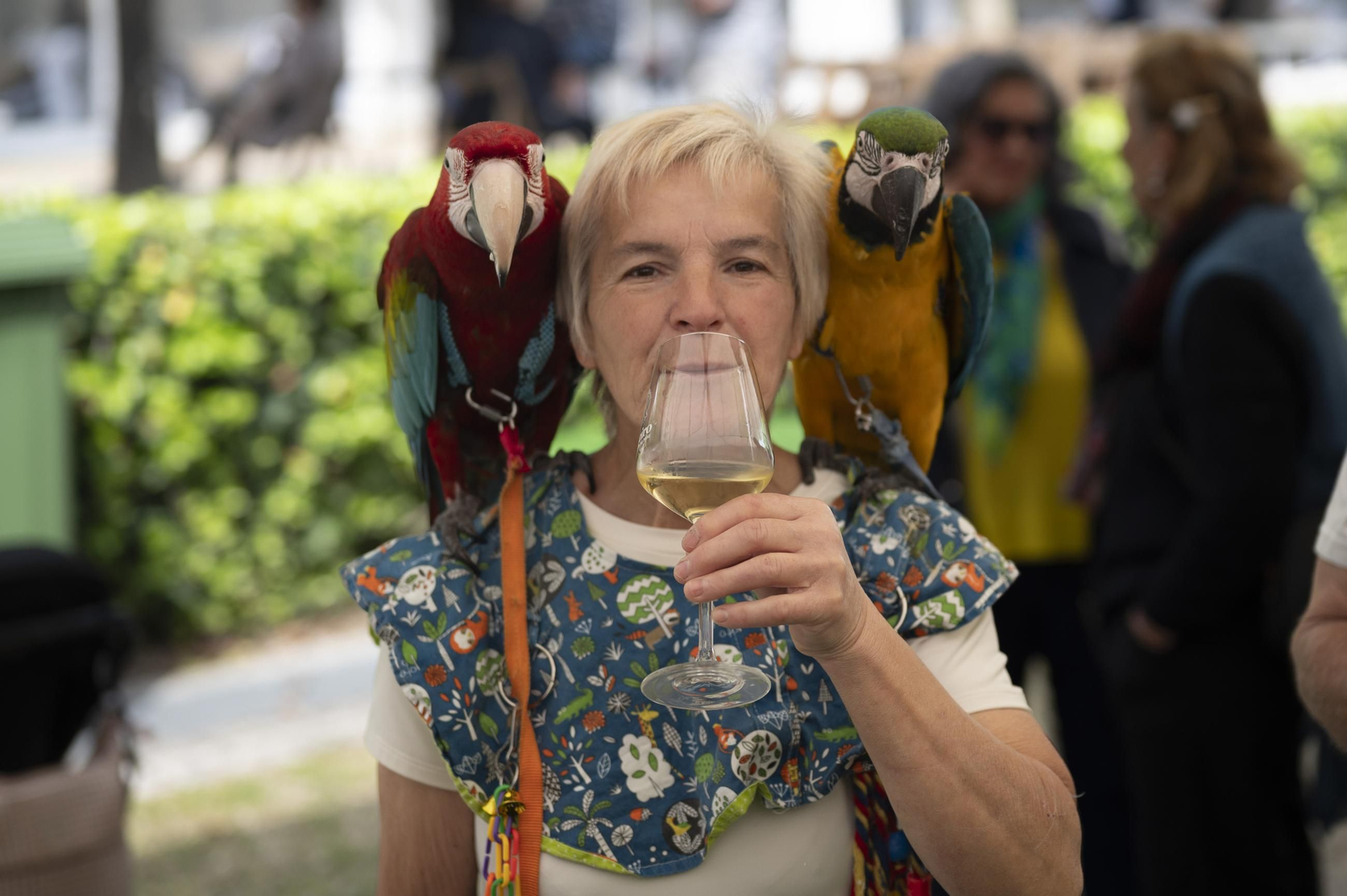 Ambiente festivo, brindis y degustaciones en el recinto de la Alameda de Ribadavia durante la celebración de la 63ª Feira do Viño do Ribeiro