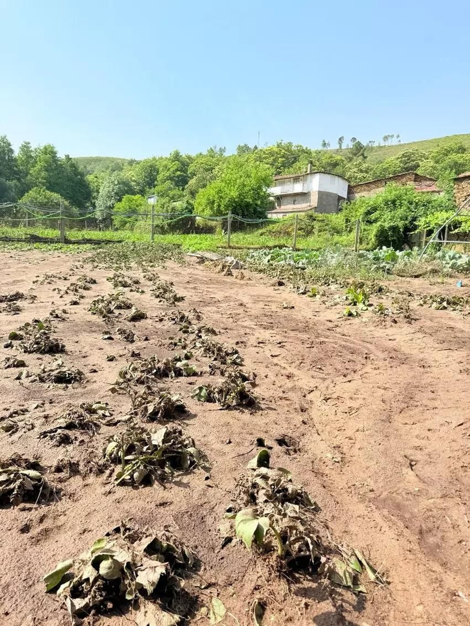 Galería | Enormes destrozos en A Bouza y Pradocabalos por las lluvias torrenciales