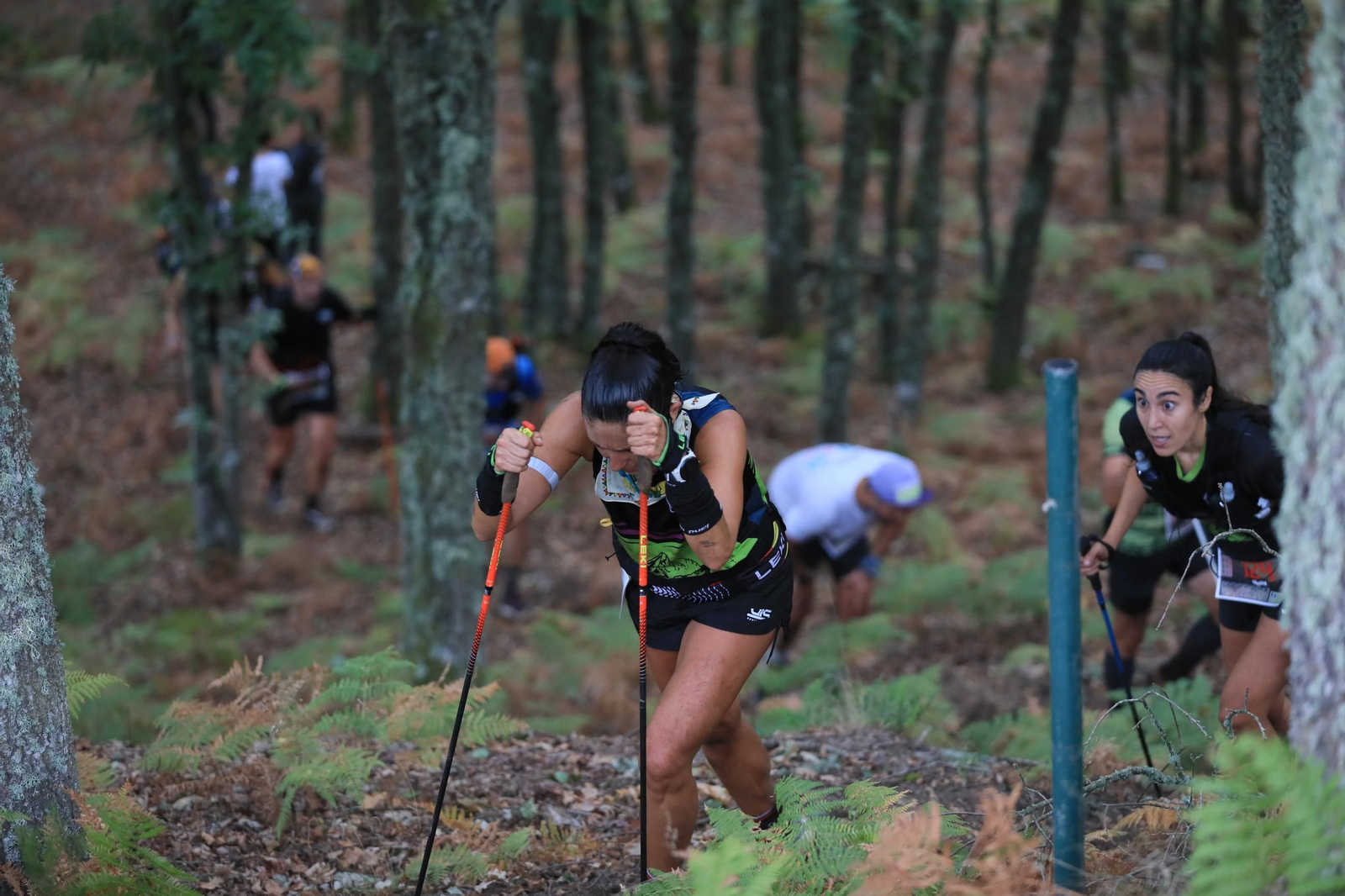 Galería | El Trail Ribeira Sacra cumple diez años y lo celebra entre montes y miradores, en fotos