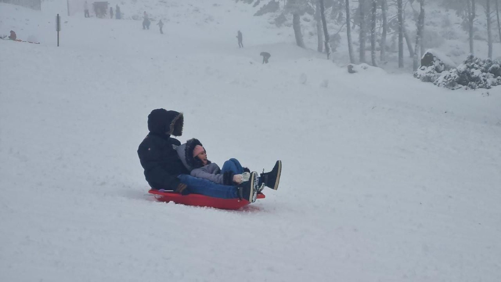 Los trineos han causado furor en Manzaneda esta mañana.