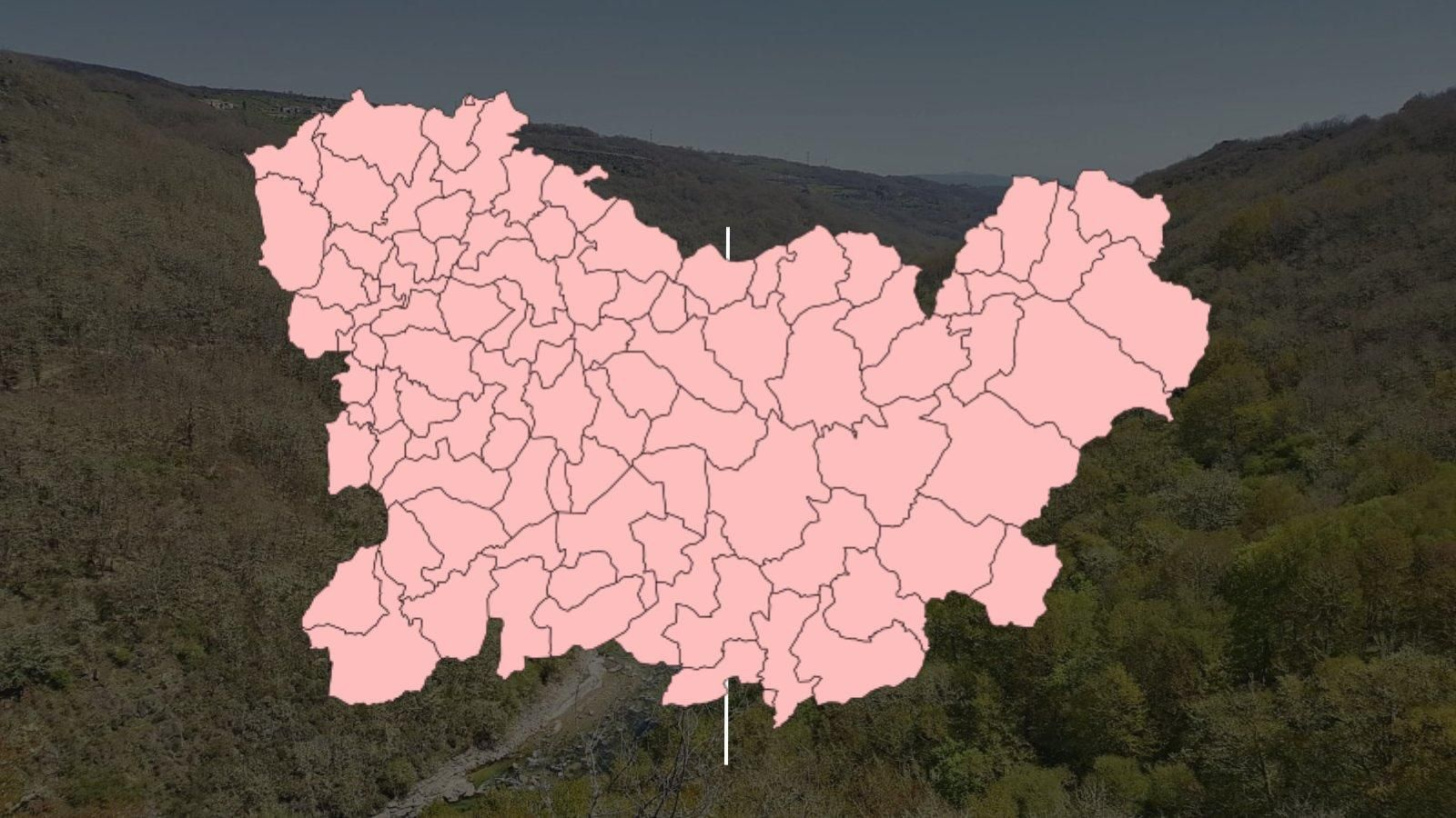 Mapa de la provincia de Ourense dividida en concellos.