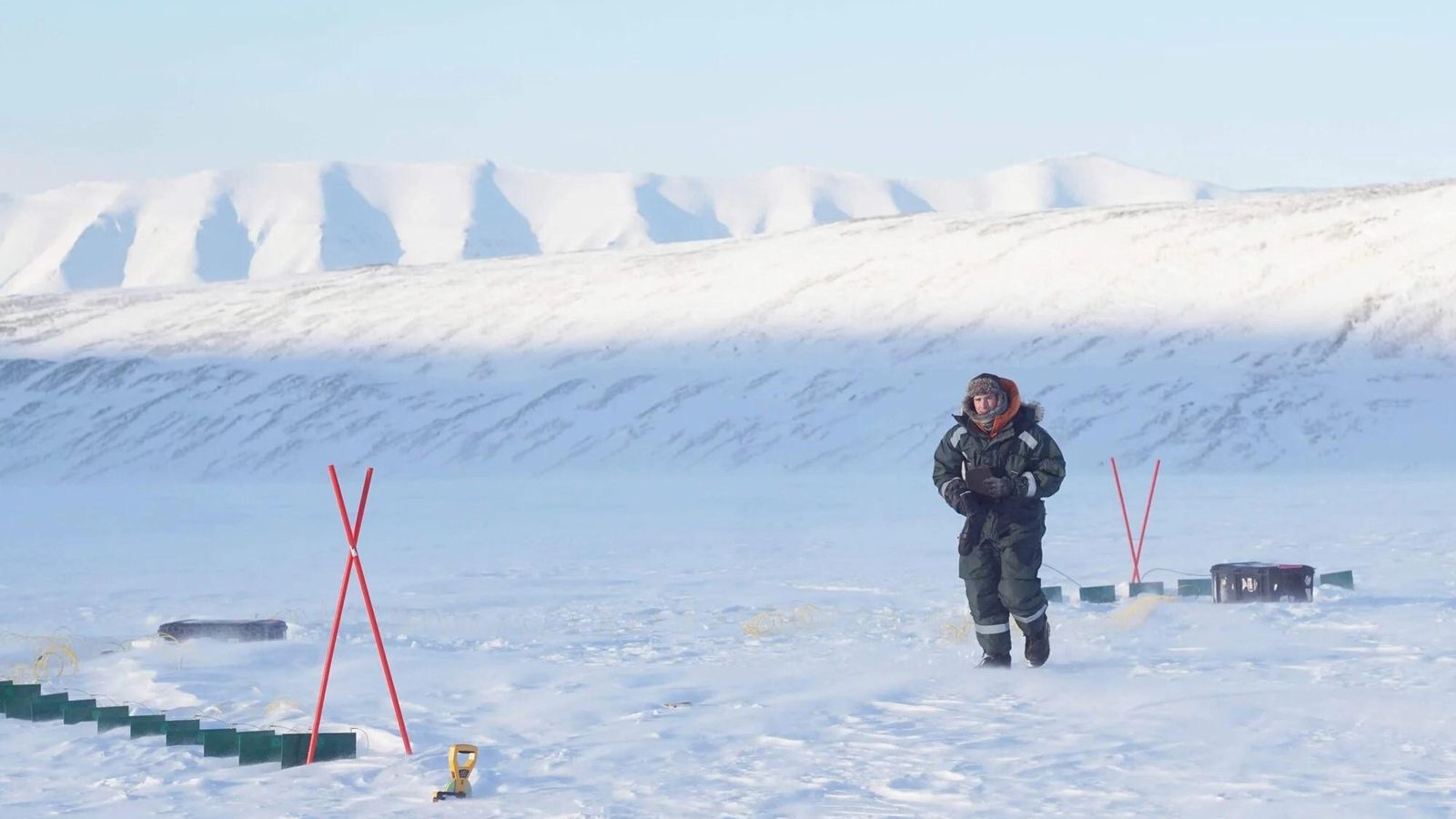 Imágenes finalistas del concurso de fotografía de naturaleza de Stanford