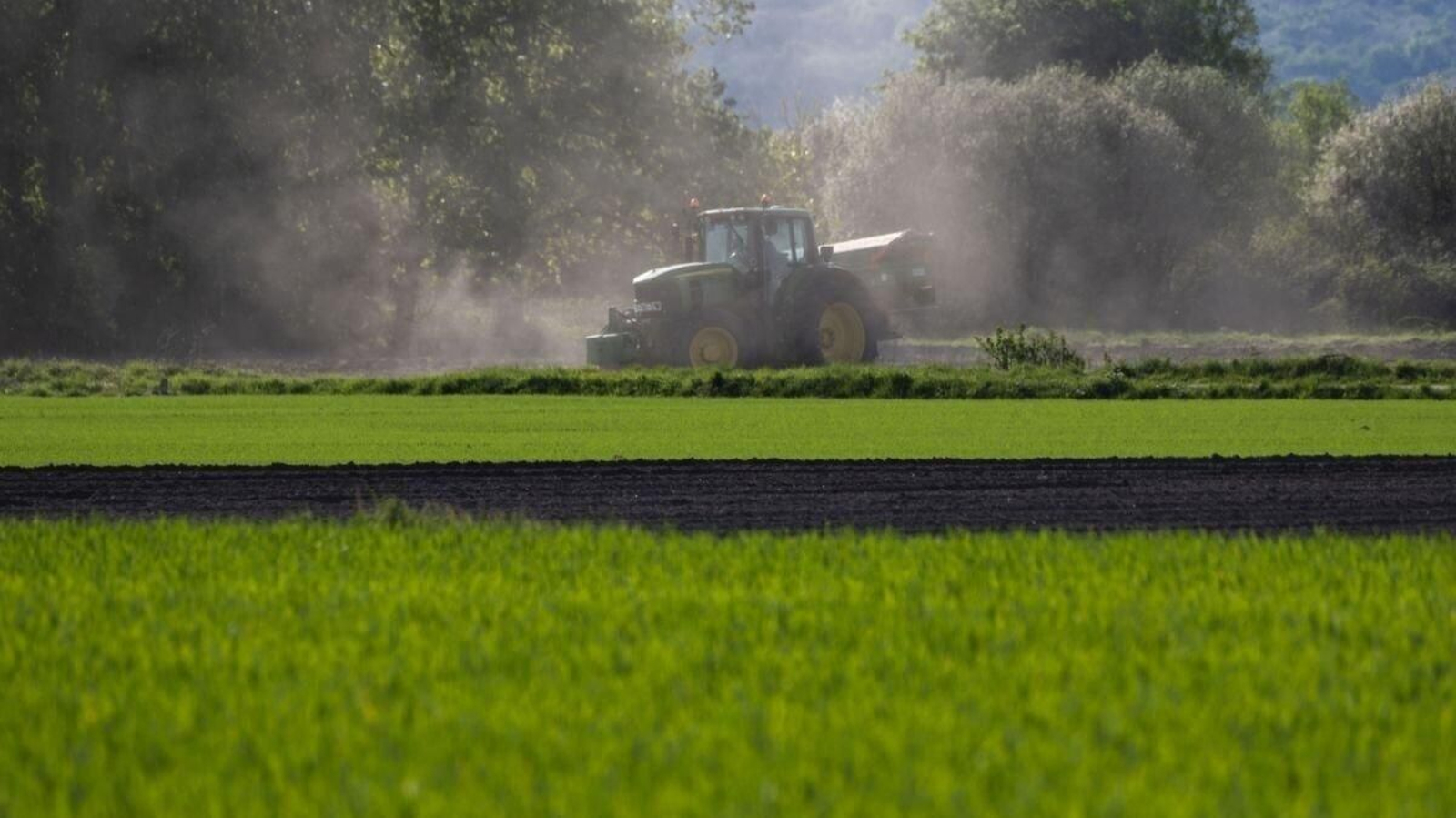 Foto de archivo de campos de cultivo en A Limia.