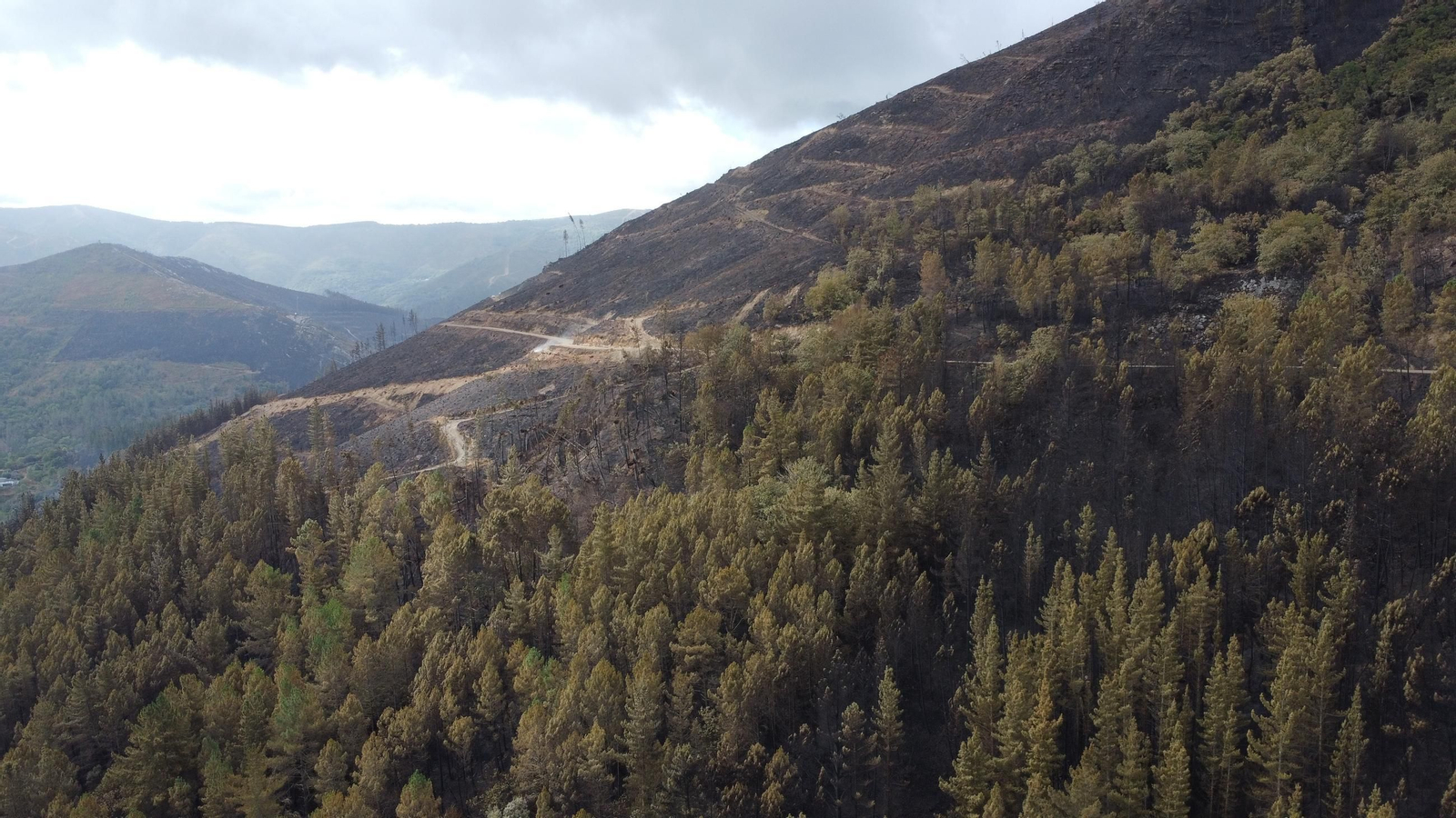 entre freixeiro y san pedro 3.JPG