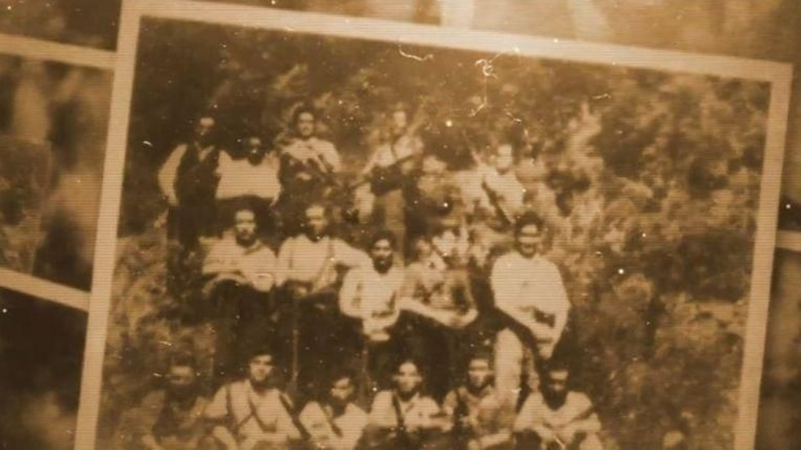 Imagen del tráiler de “Ciudad de la Selva”.