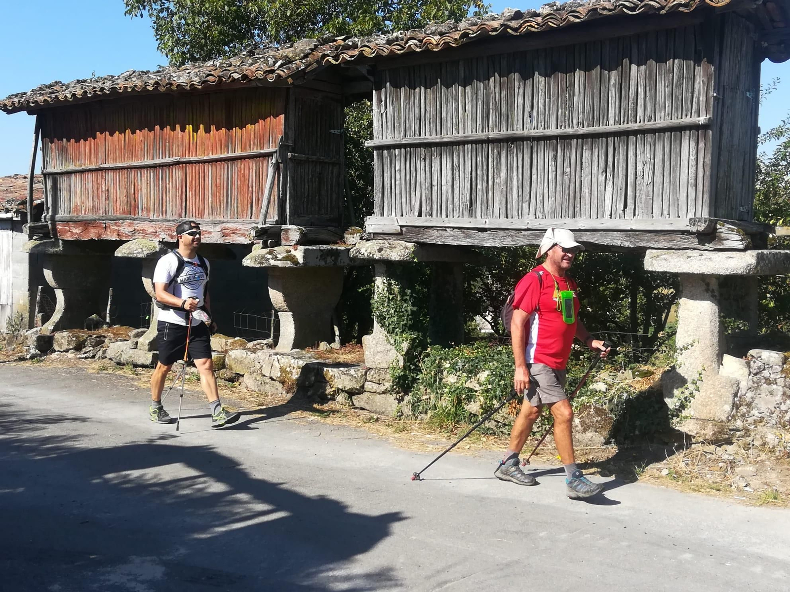 Dos participantes en la caminata del pasado fin de semana pasan dos hórreos.