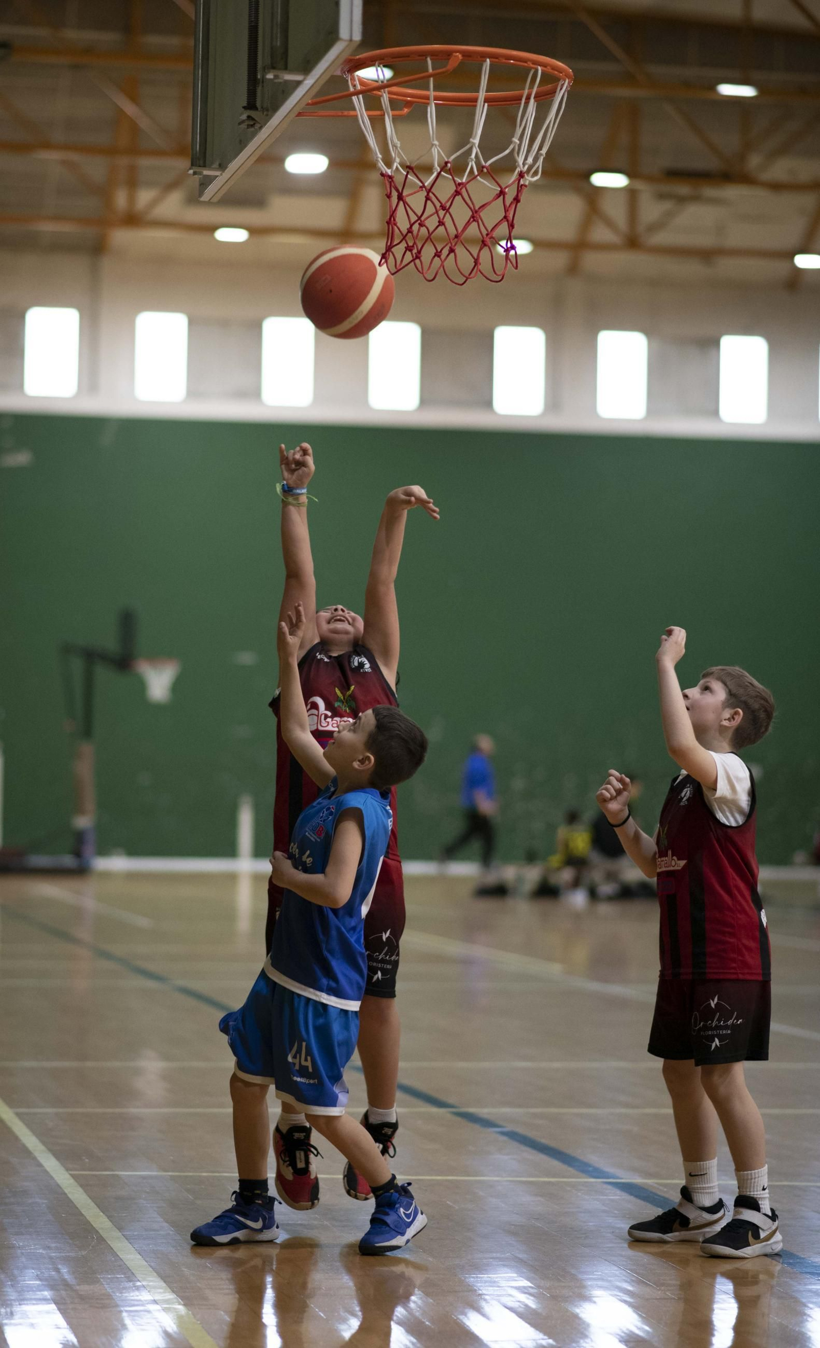 Galería | Concentración de Minibasket en Verín
