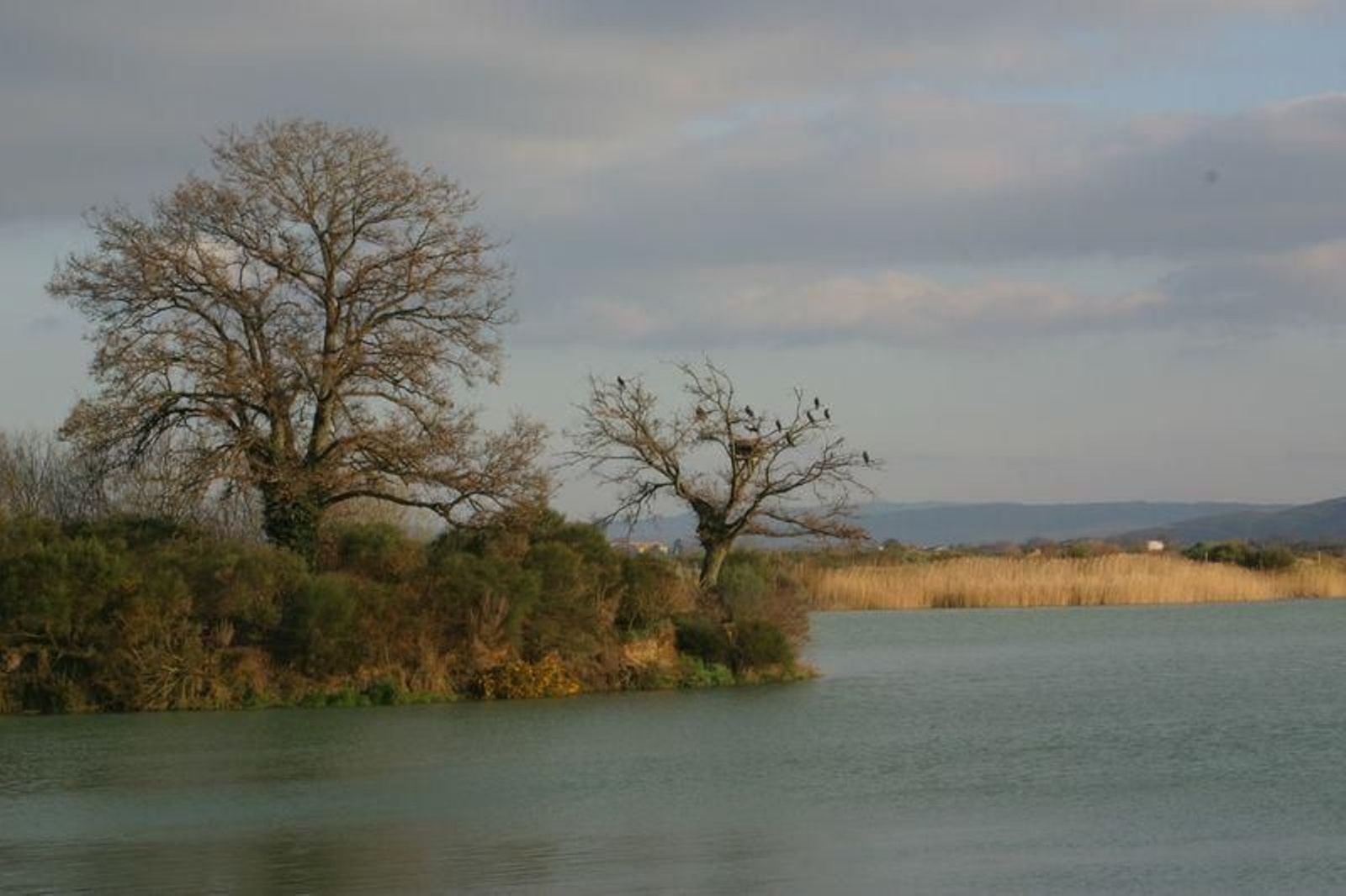 10.68.110.185-archive-2013-04-18-img_5252_resultado