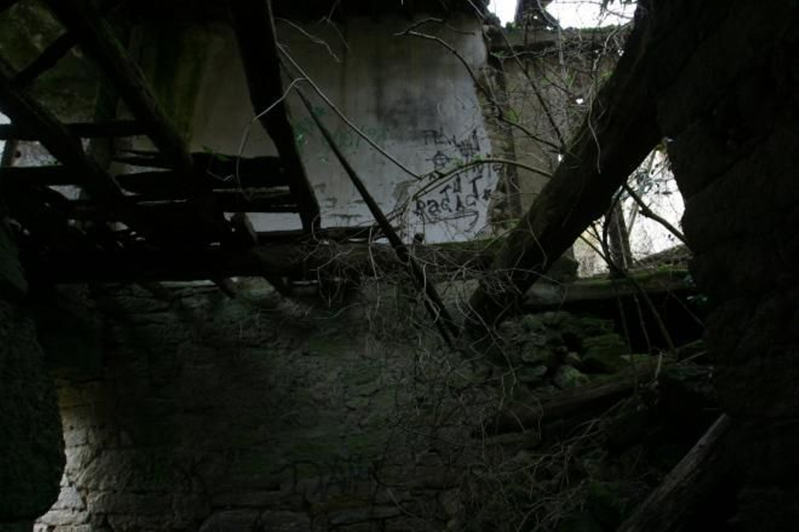 Deterioro del Monasterio de San Paio de Abeleda