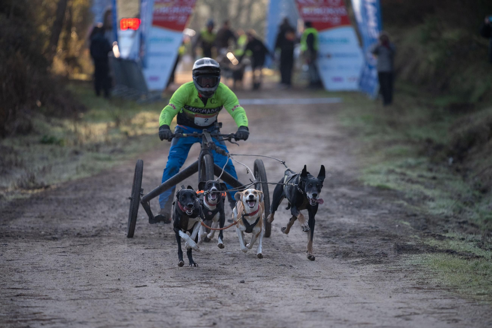 Galería | El mushing acerca los deportes de invierno a Ourense