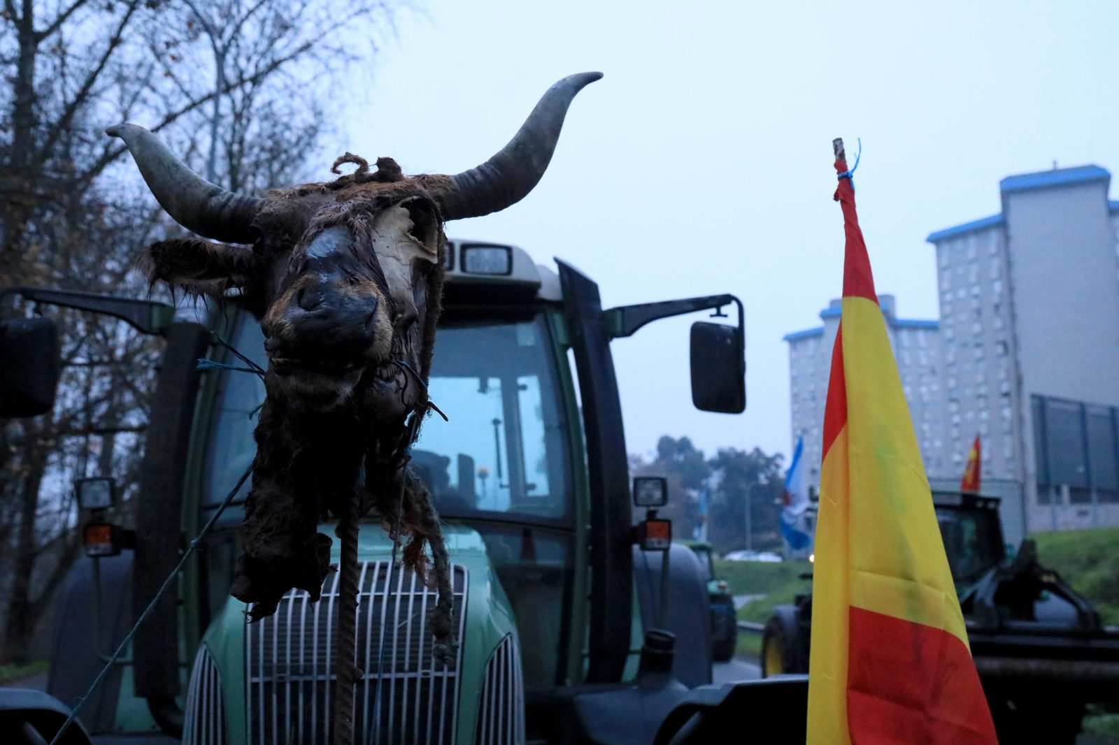 Galería | Largas hileras de tractores bloquean la N-120 en Ourense, en el cuarto fin de semana de protestas