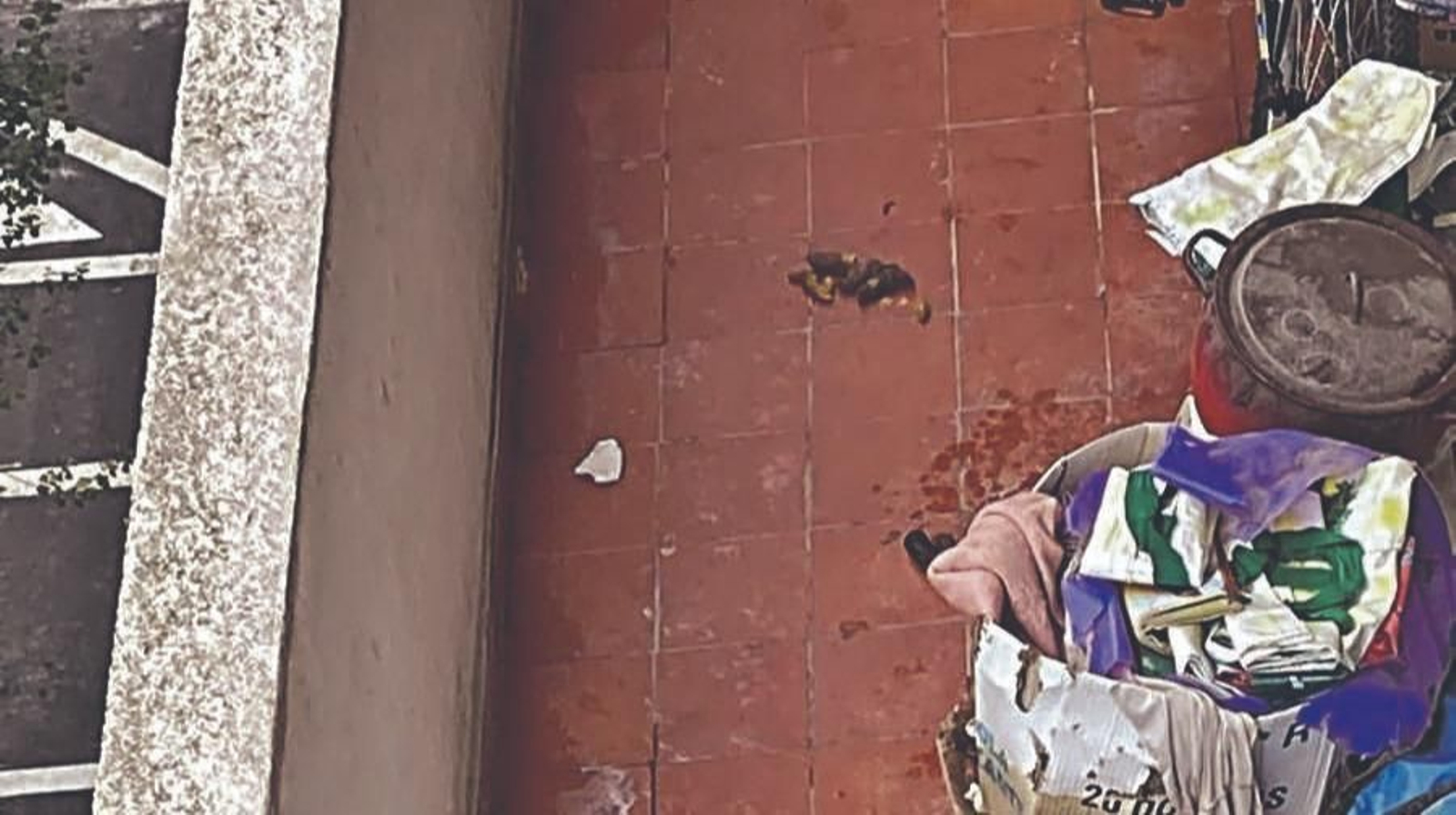 Imagen del nuevo balcón.