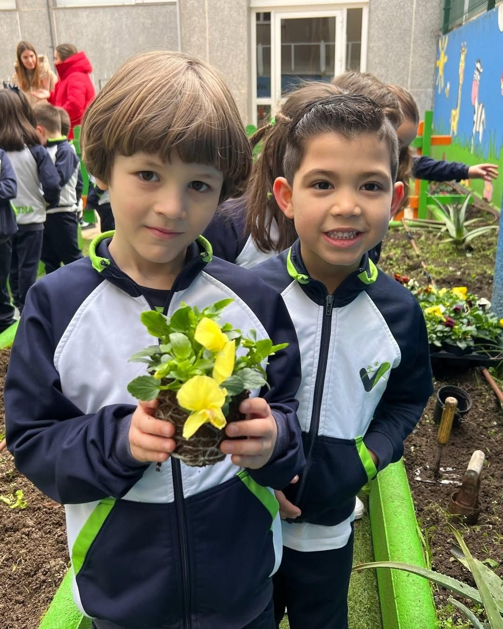 O Día de Rosalía en Carmelitas