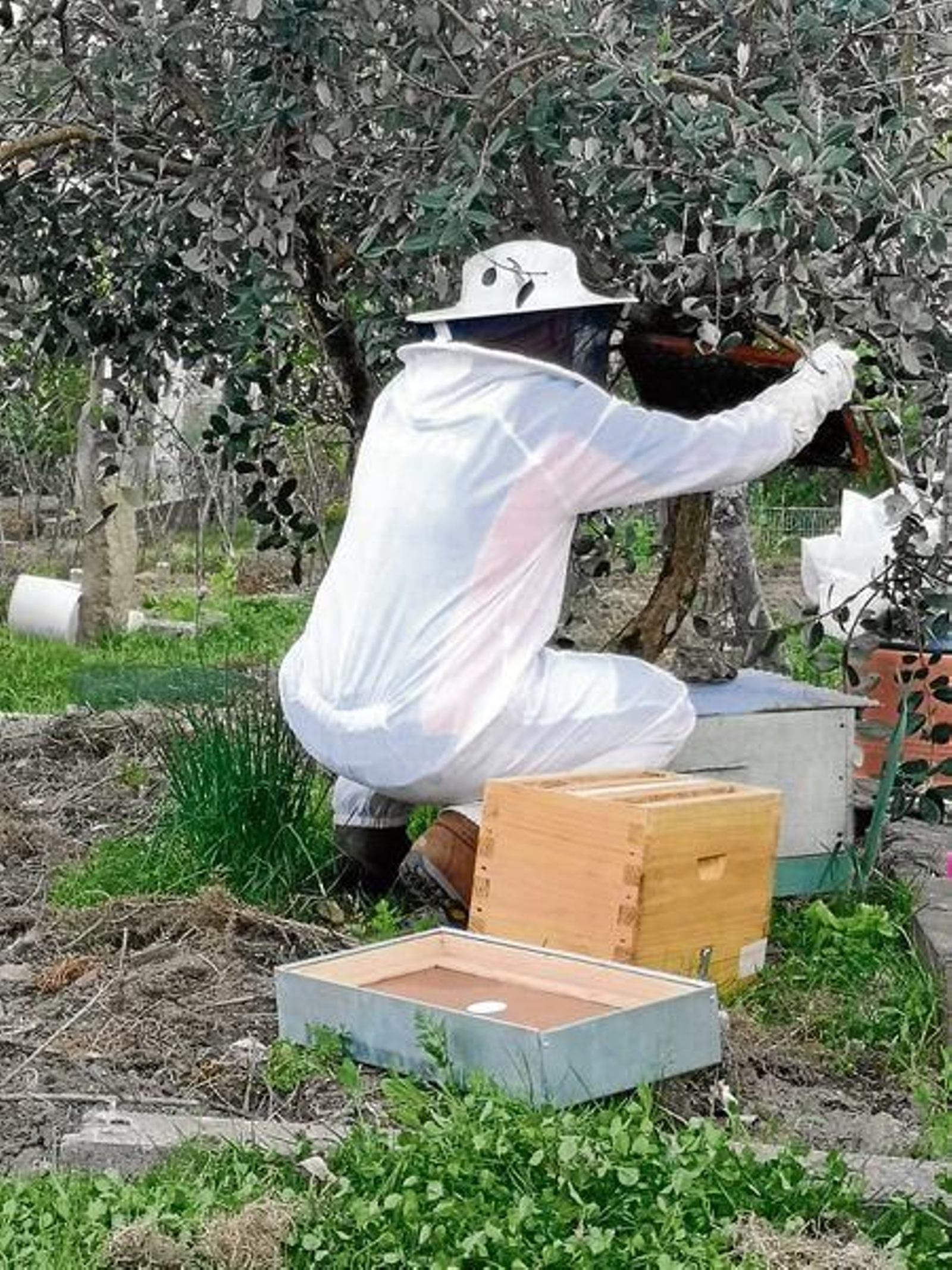 20200215155435063_resultado