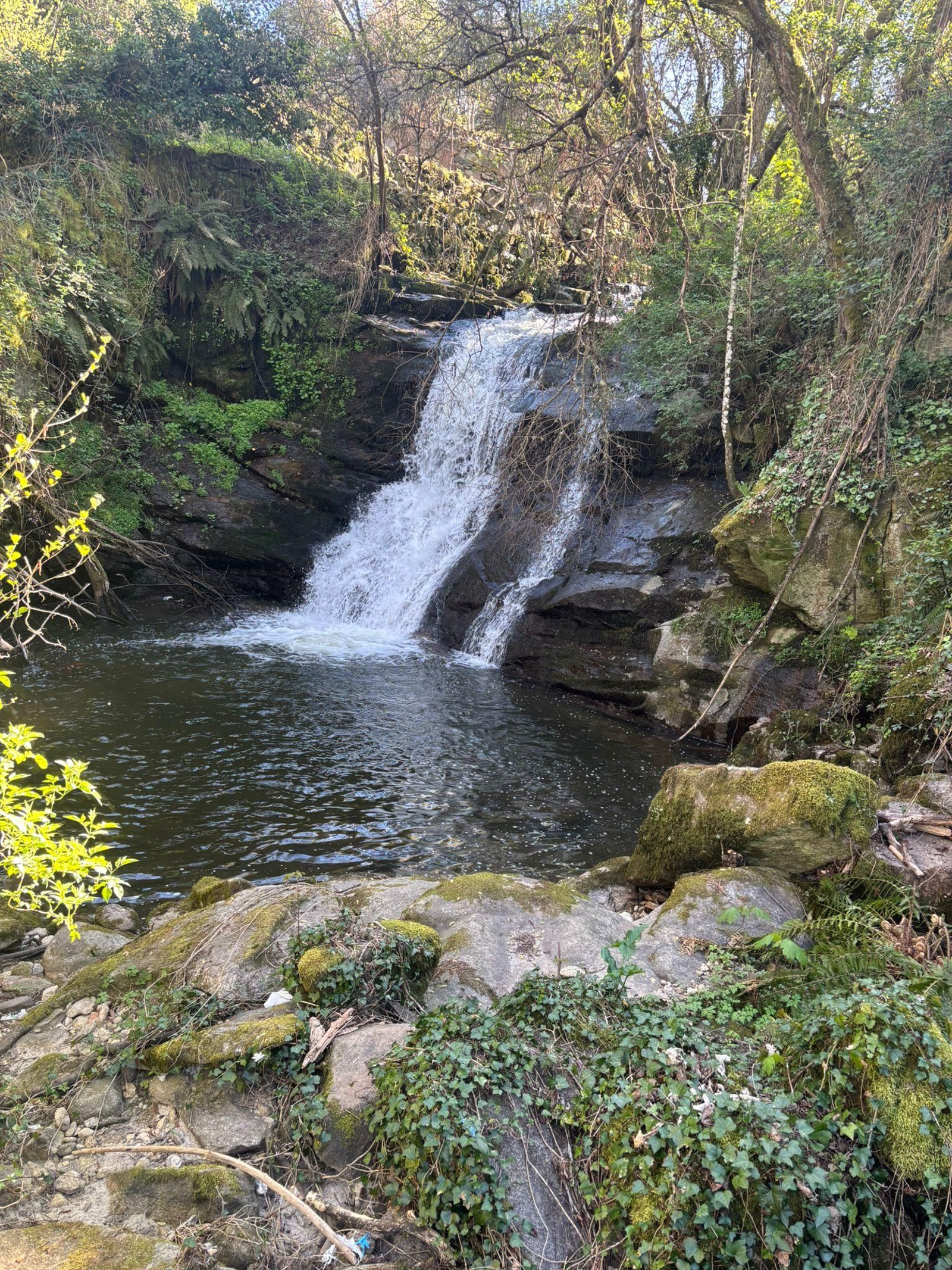 Actividades de coidado da contorna en Trives