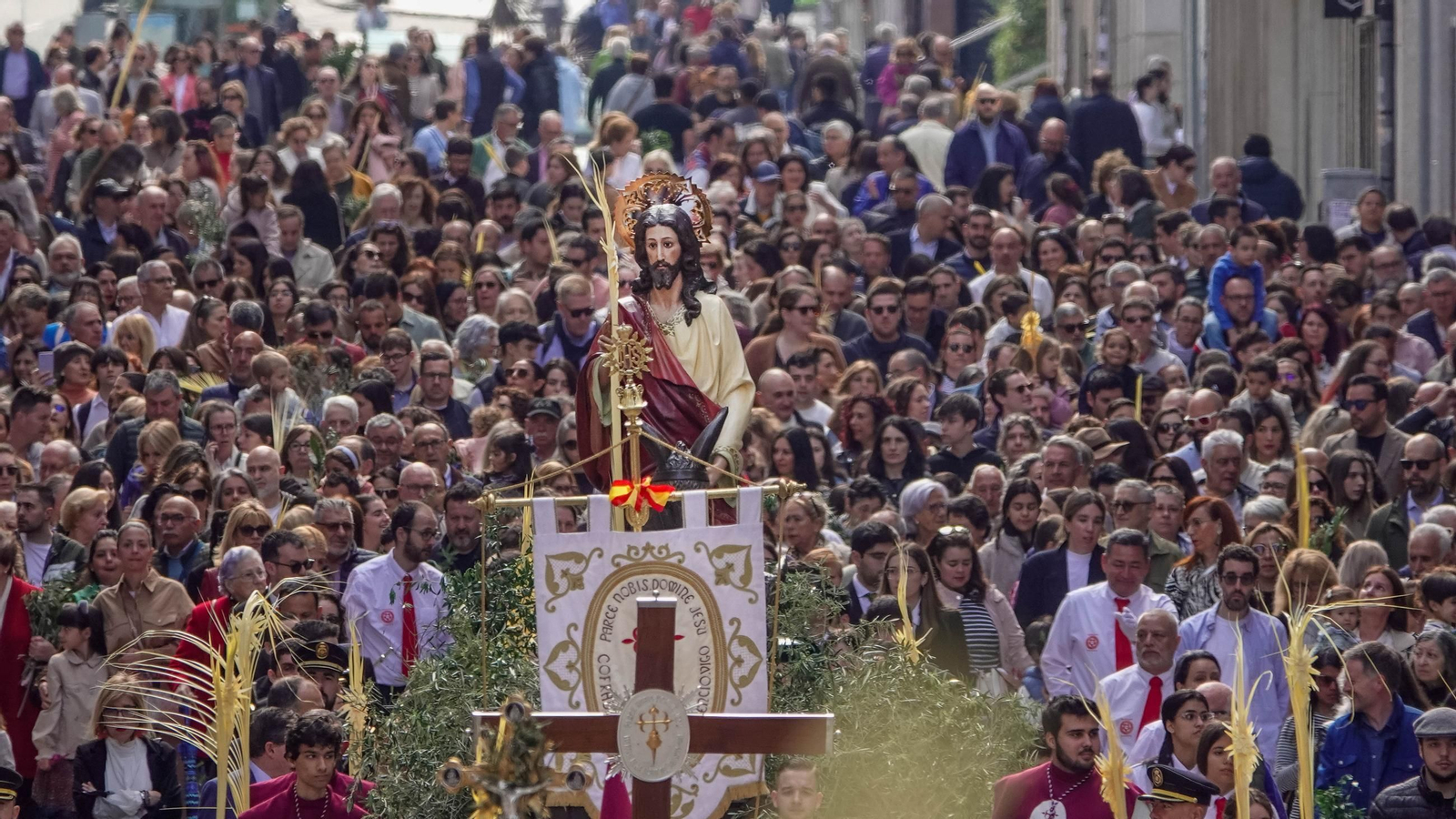 Galería | La procesión de la Borriquita 2025