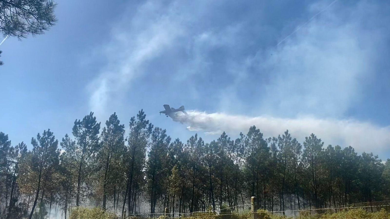 Medios aéreos actuando en el incendio de Boborás.