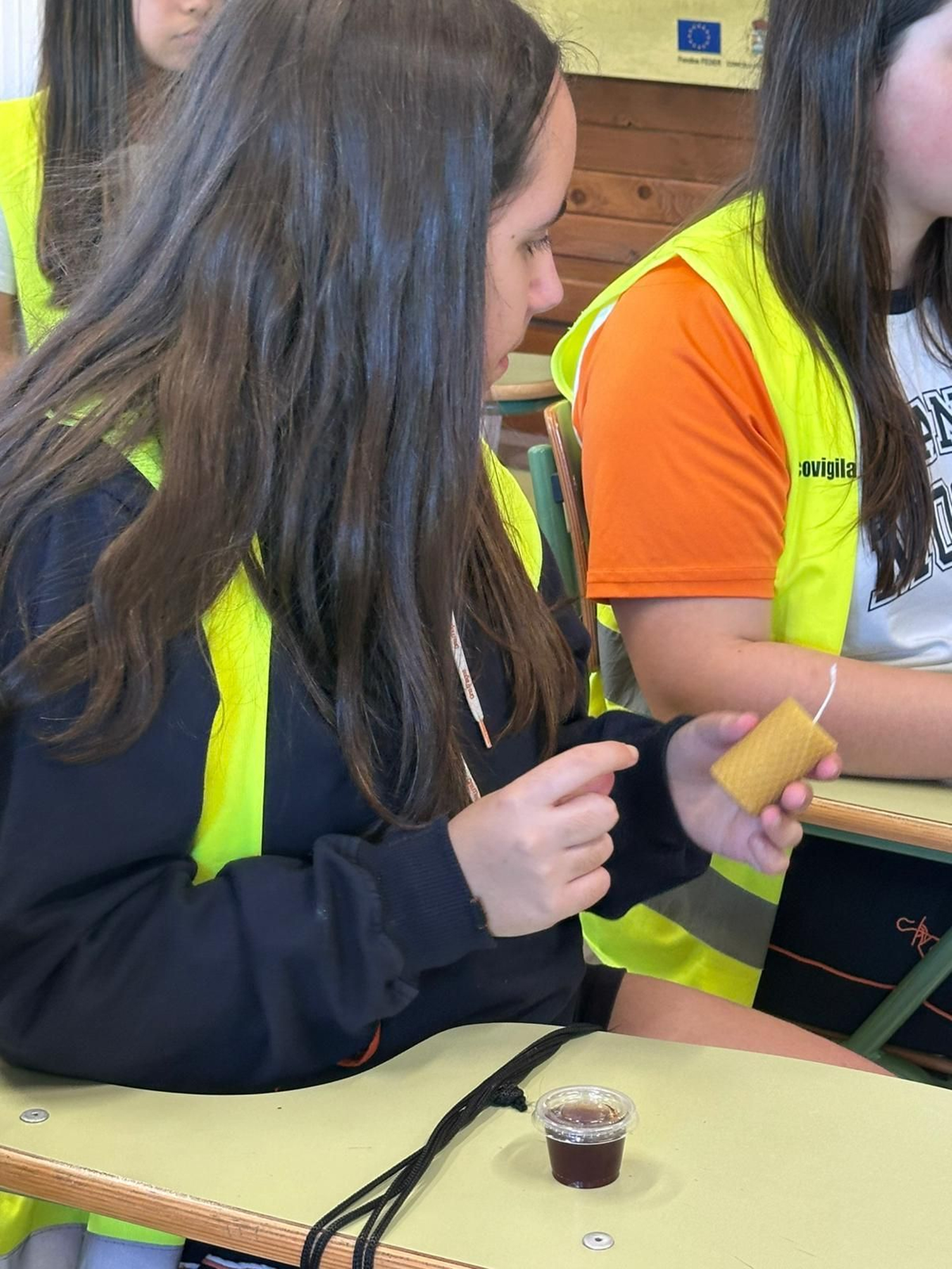 Jornada de apicultura tradicional de Ecovigilantes