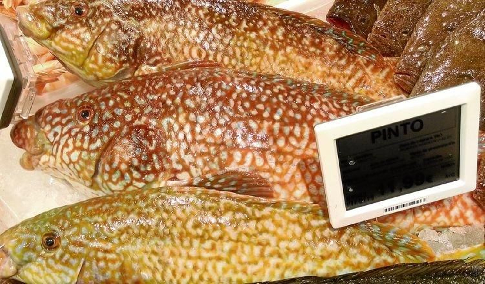 20161130165144032_result