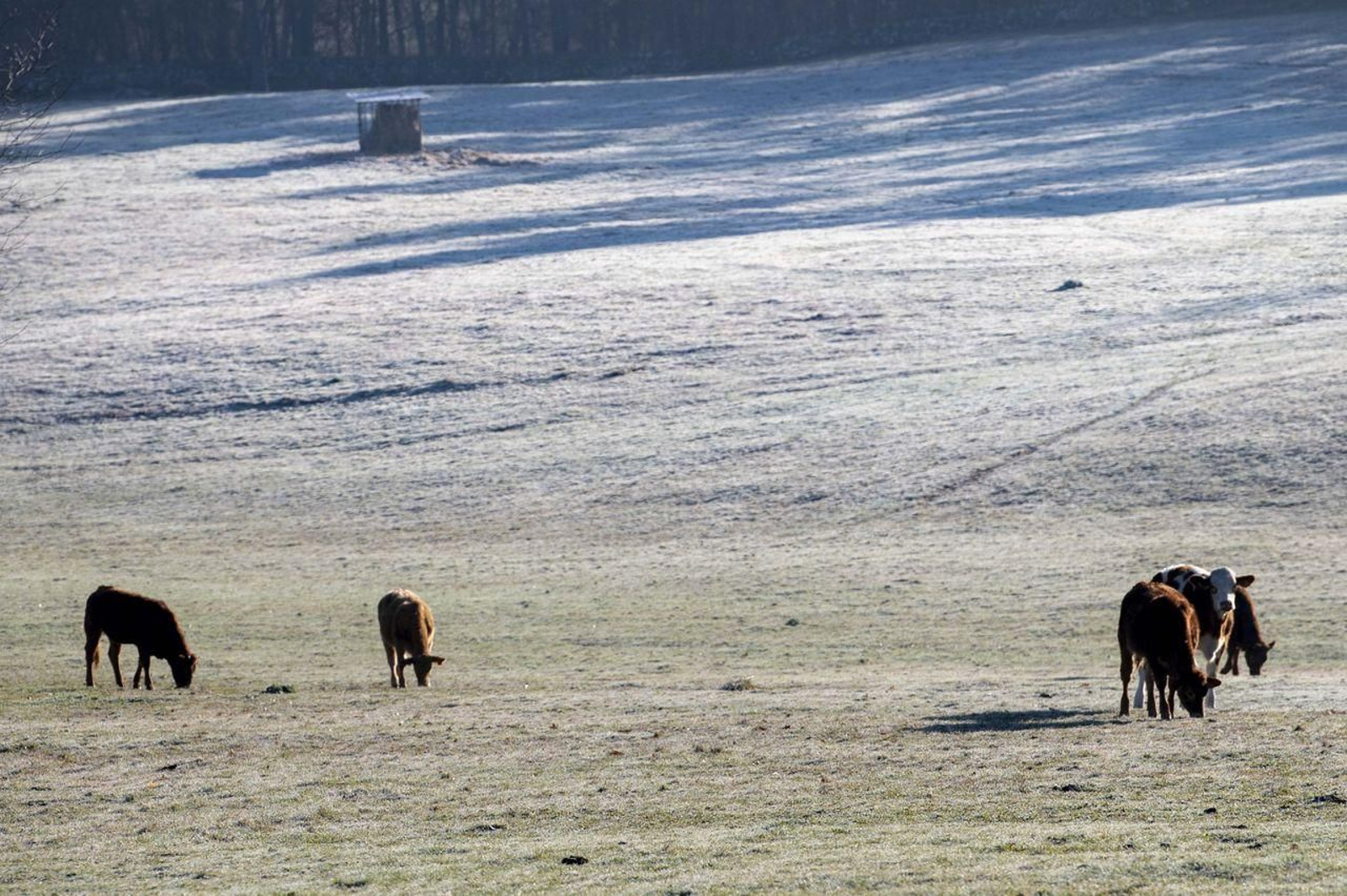 Foto: Martiño Pinal