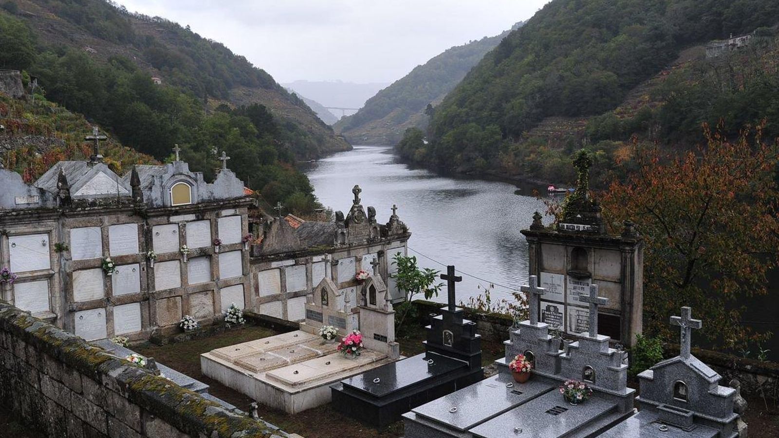 BELESAR (CHANTADA) 28/10/2019.- Escenarios para morirse en la Ribeira Sacra; al fondo el Miño.. José Paz