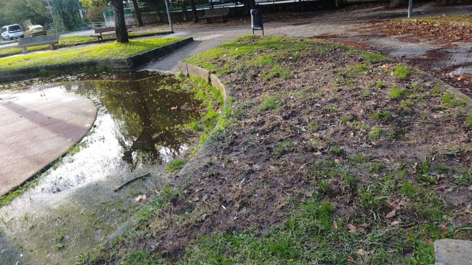 Tan siquiera queda césped.