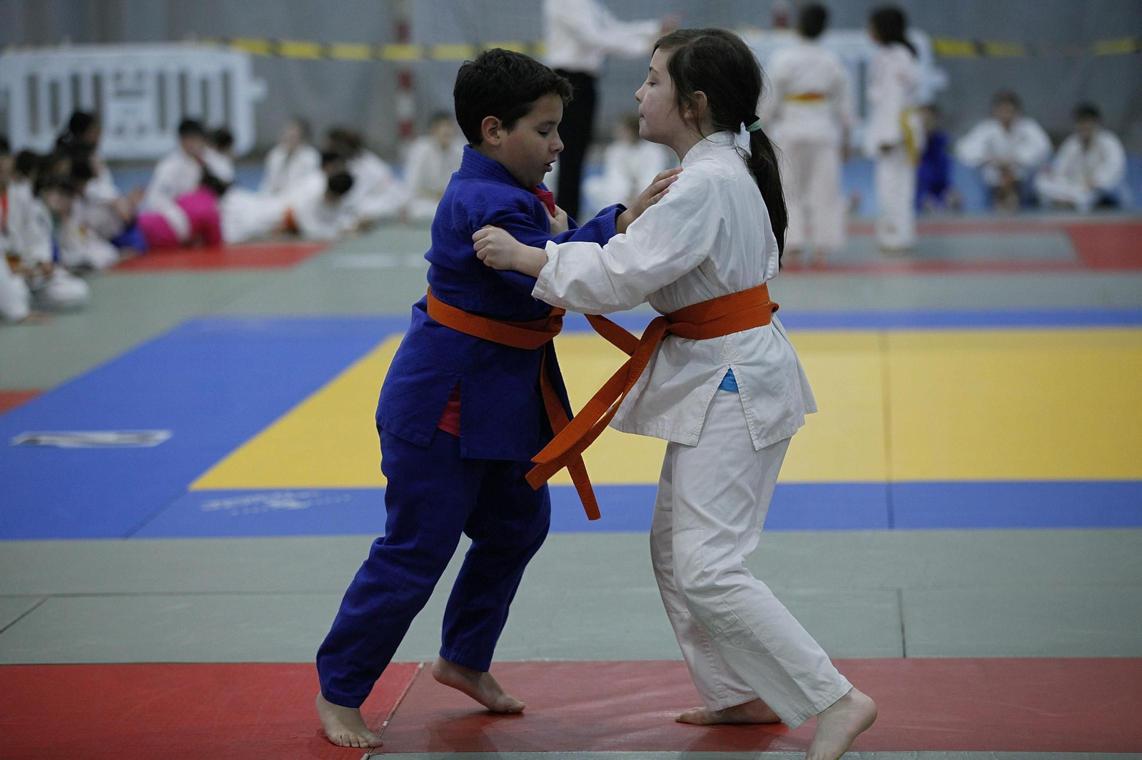 Galería | El Campeonato Gallego de Jiu Jitsu celebrado en Ourense, en imágenes